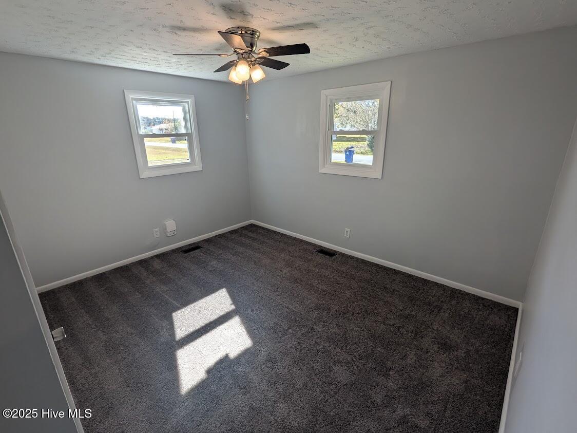 100541231 | Photo 19