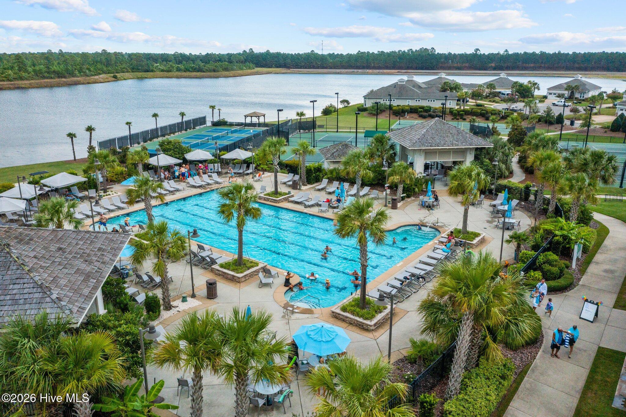 100558232 | Photo 64