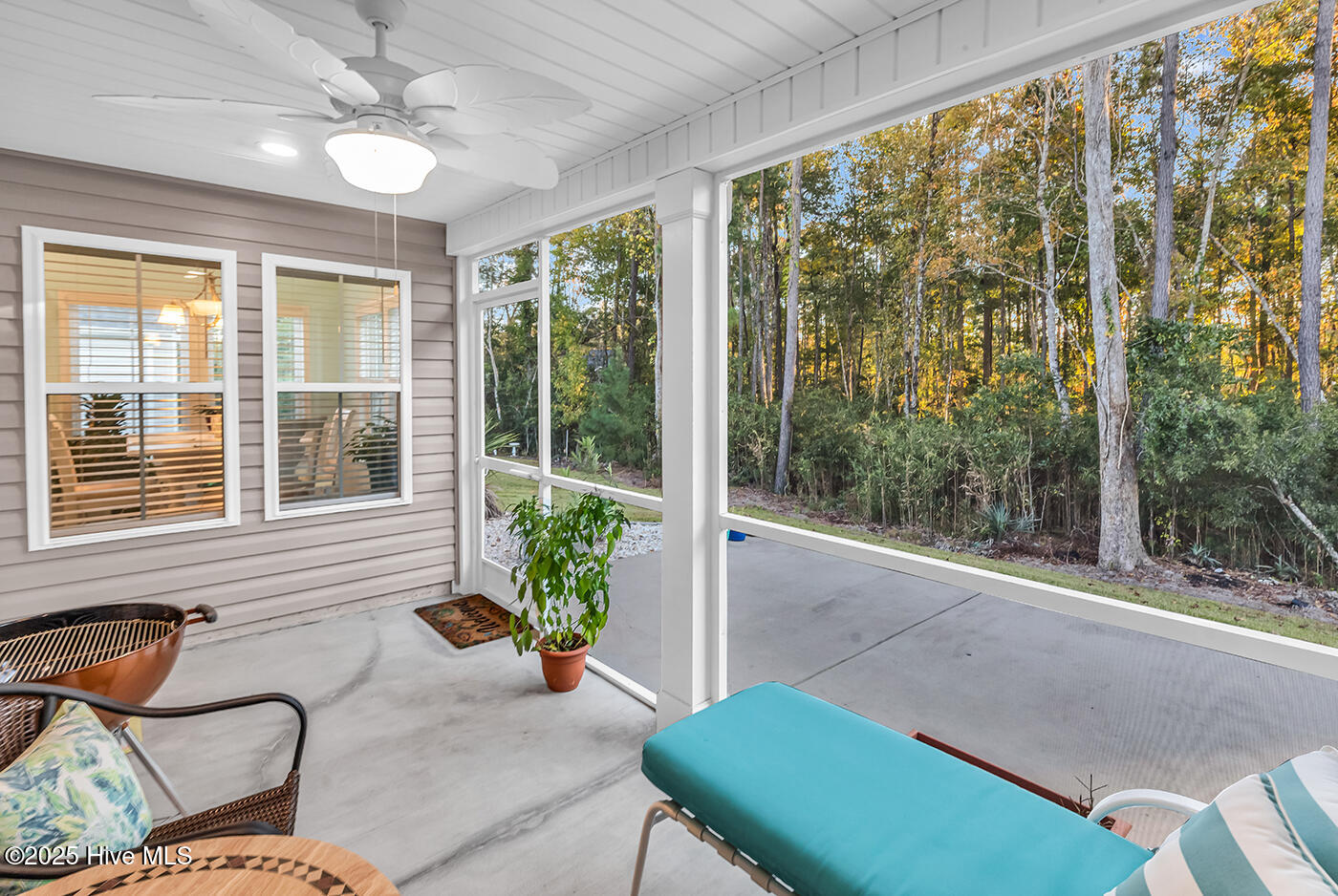 100539654 | Photo 39