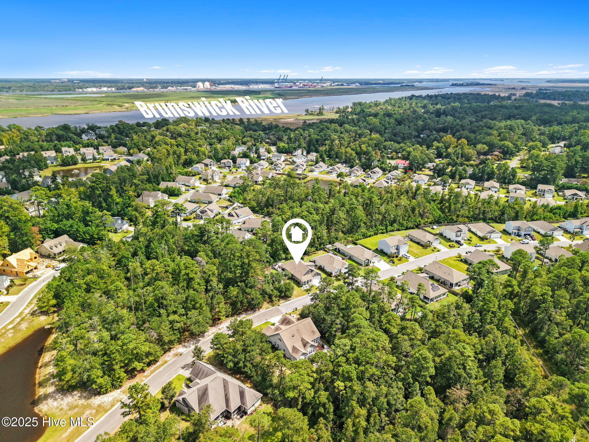 100531628 | Photo 50