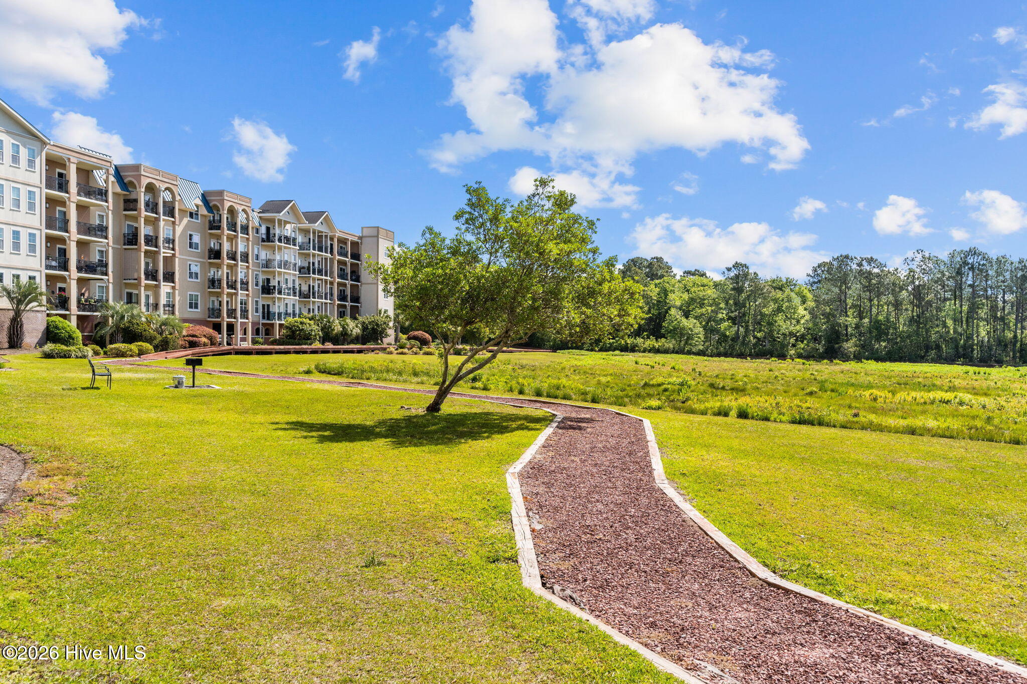 100558895 | Photo 74