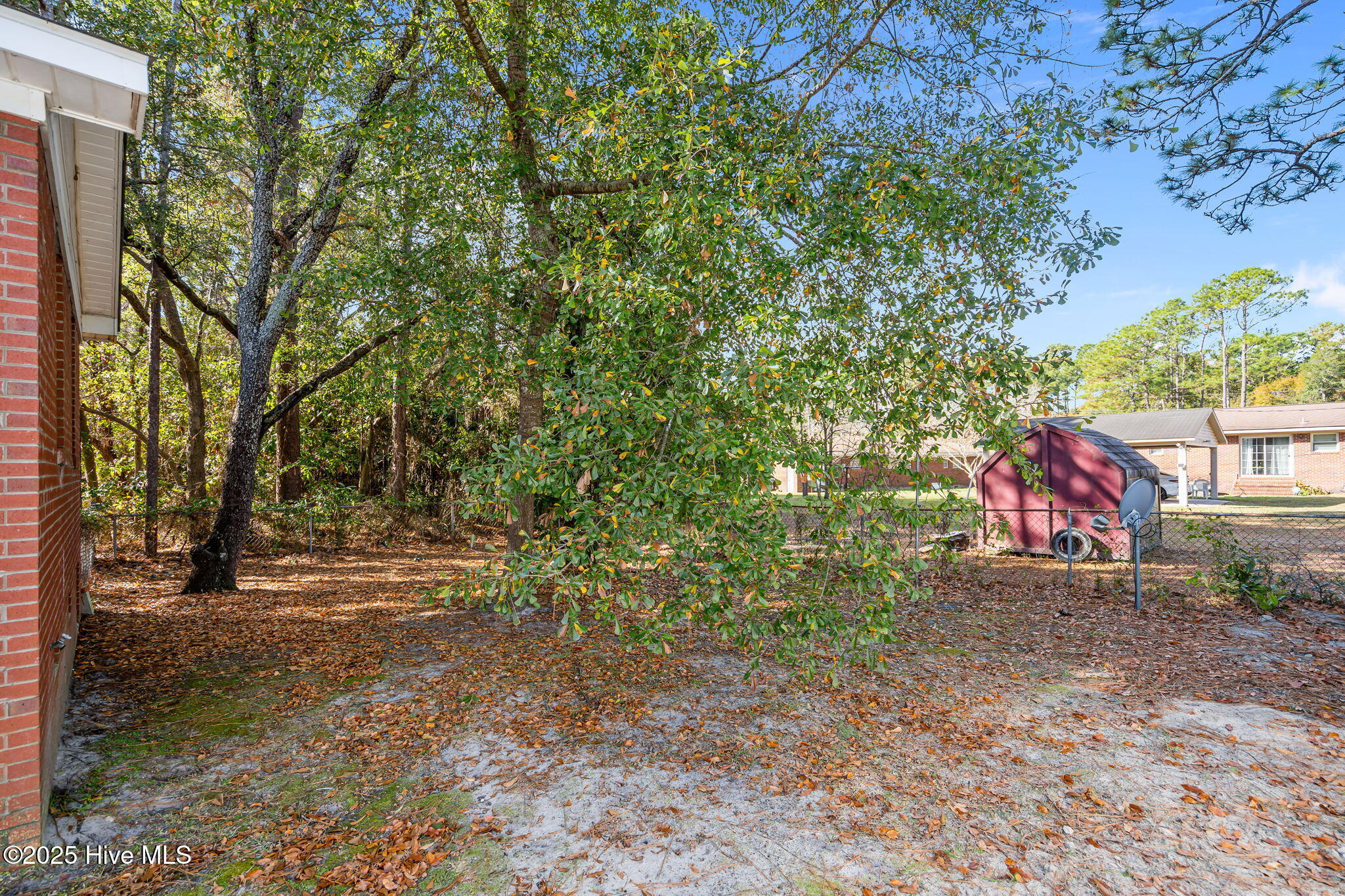 100559605 | Photo 45