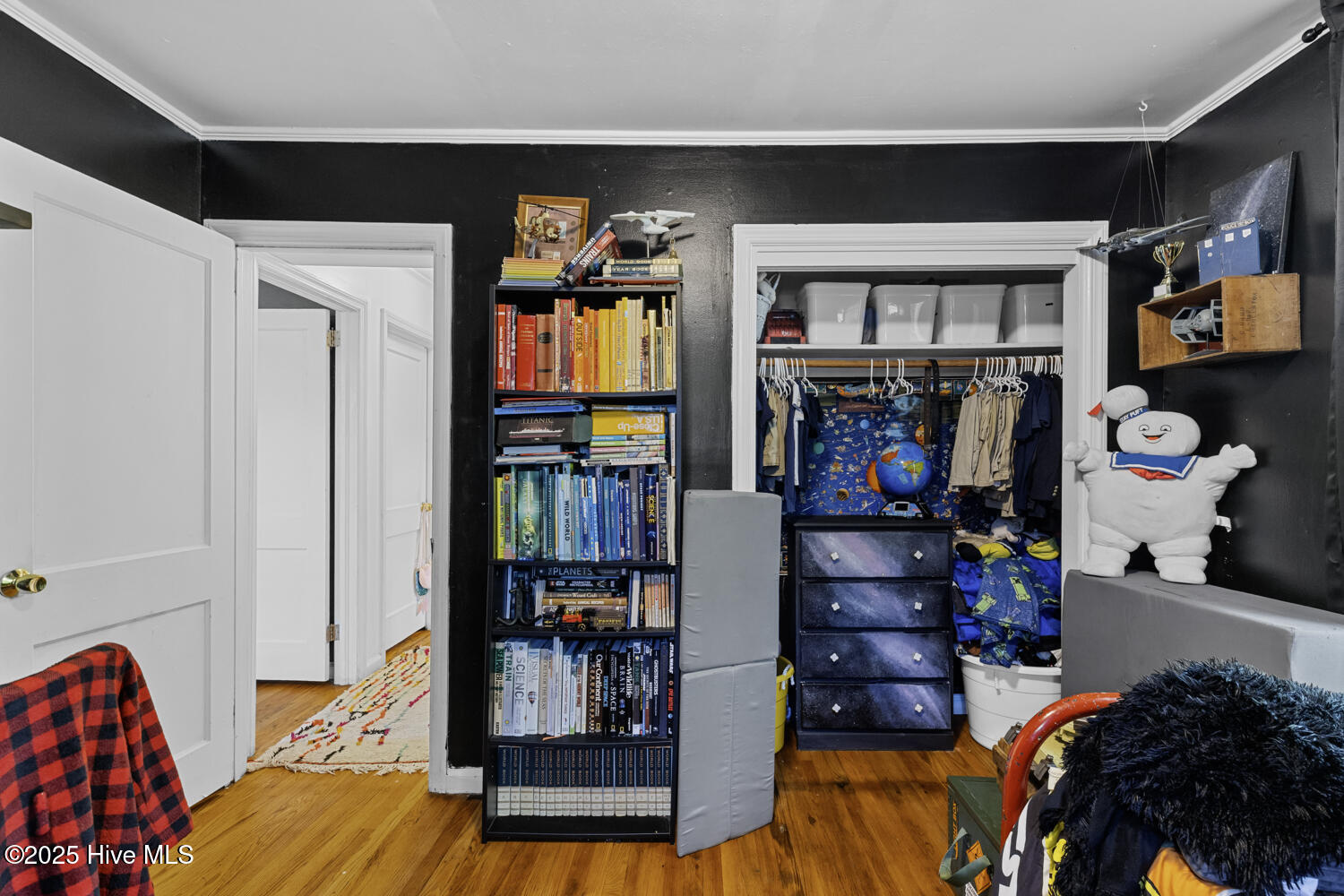 100535338 | Photo 19