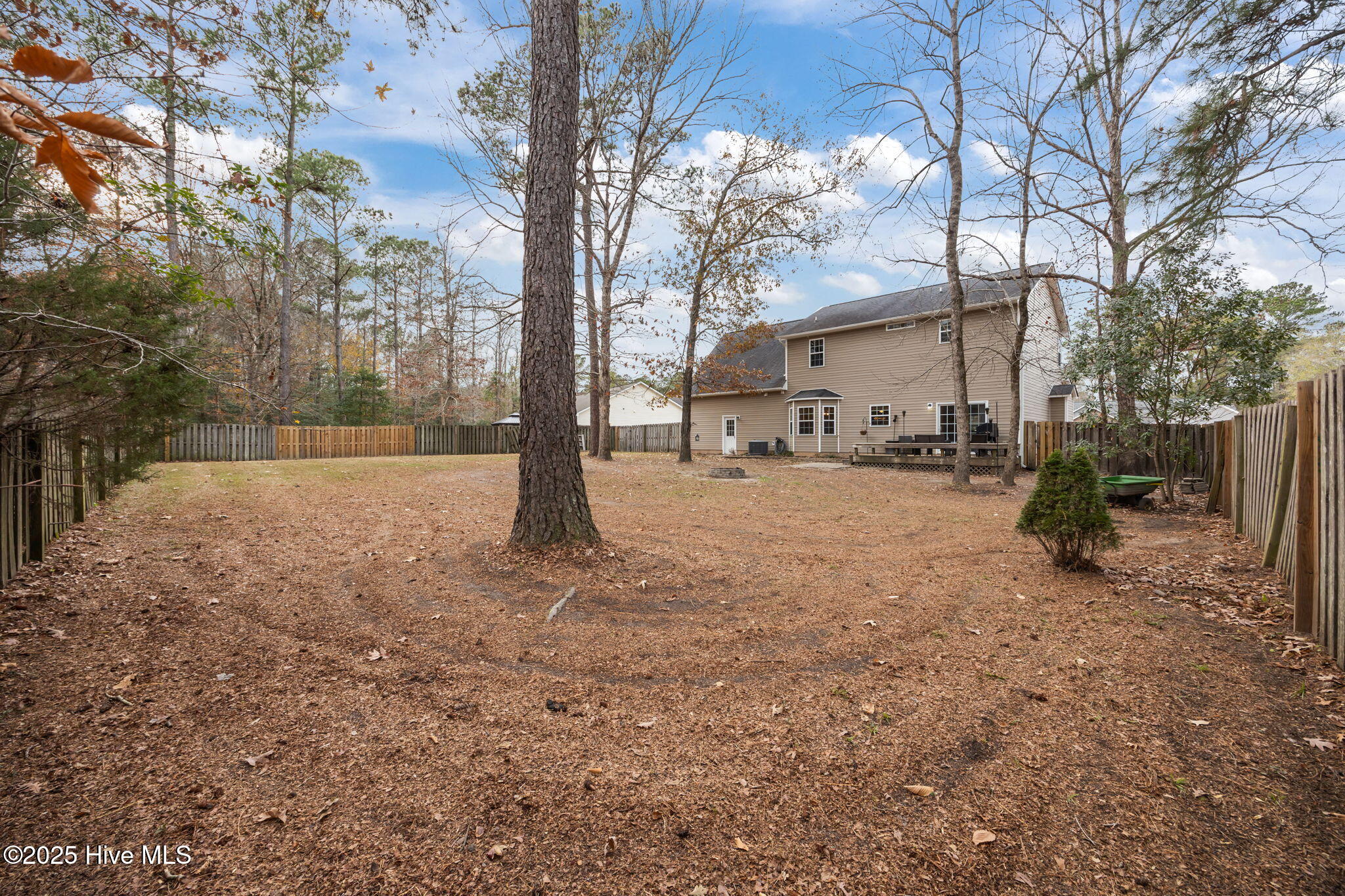 100544131 | Photo 44