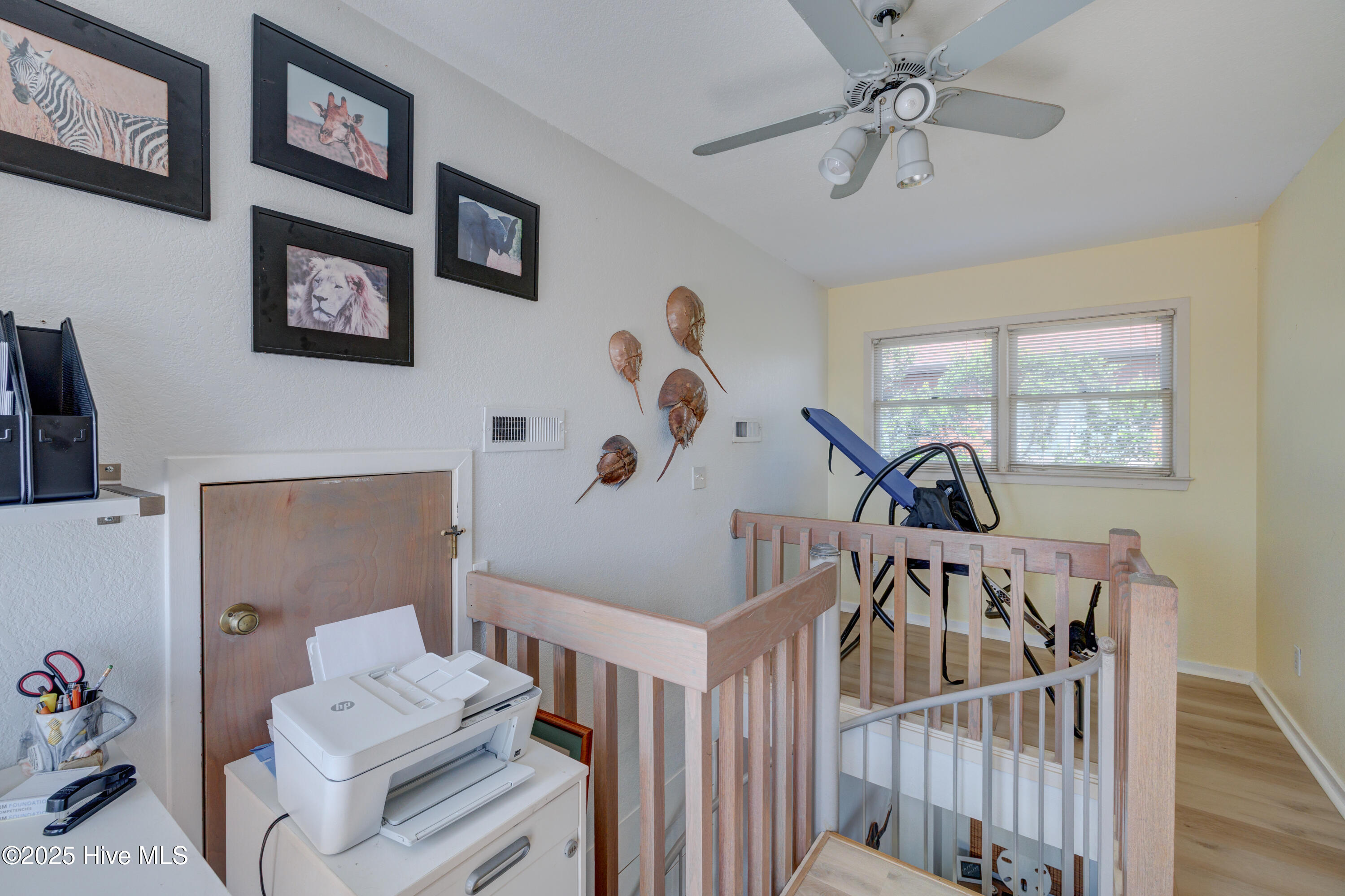 100515137 | Photo 47