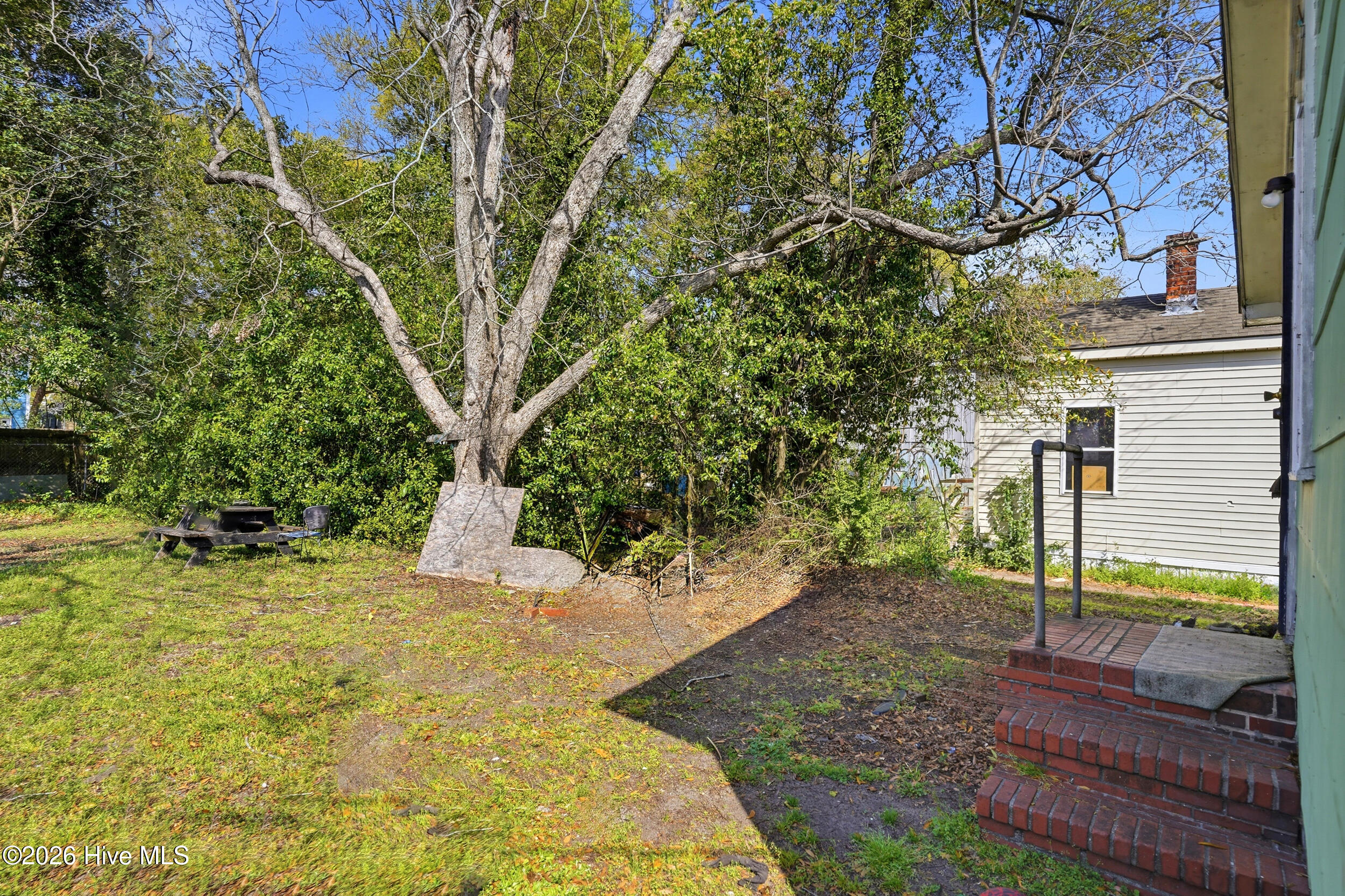 100564252 | Photo 18