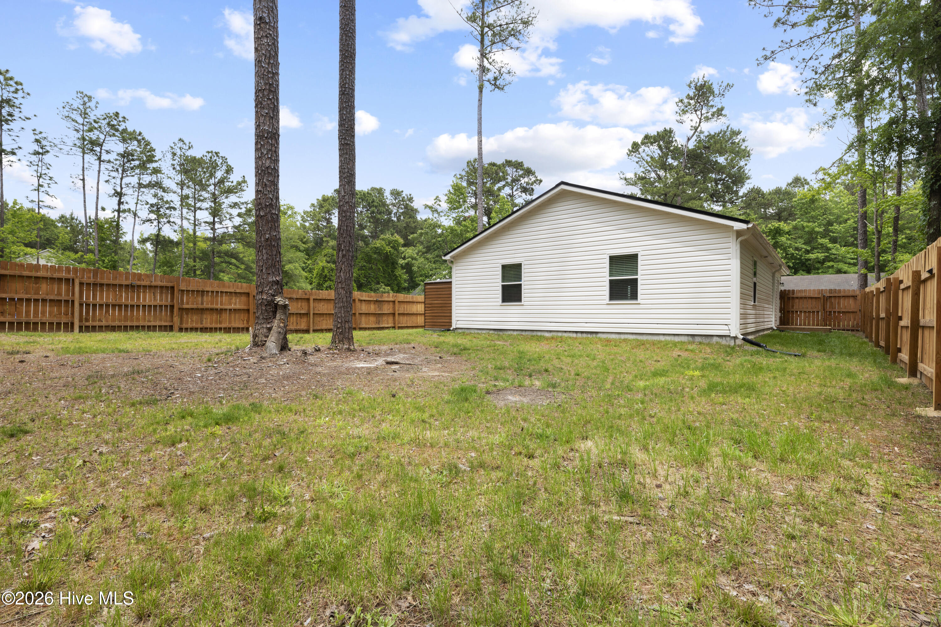 100570462 | Photo 22