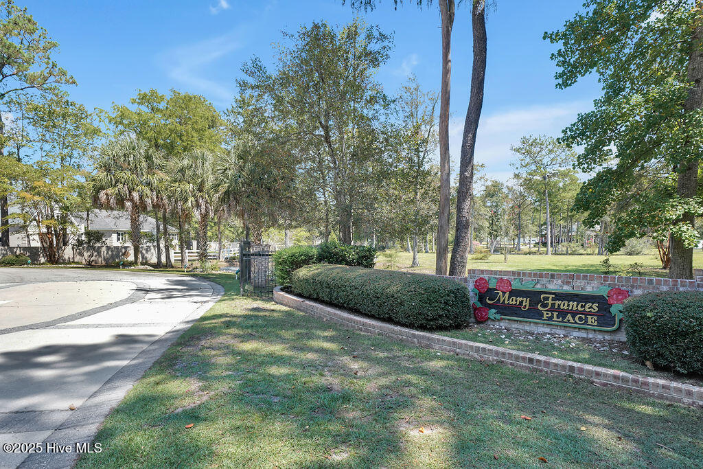 100529552 | Photo 51