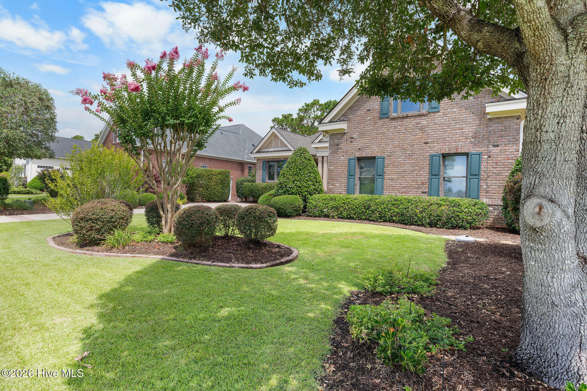 100548545 | Photo 57