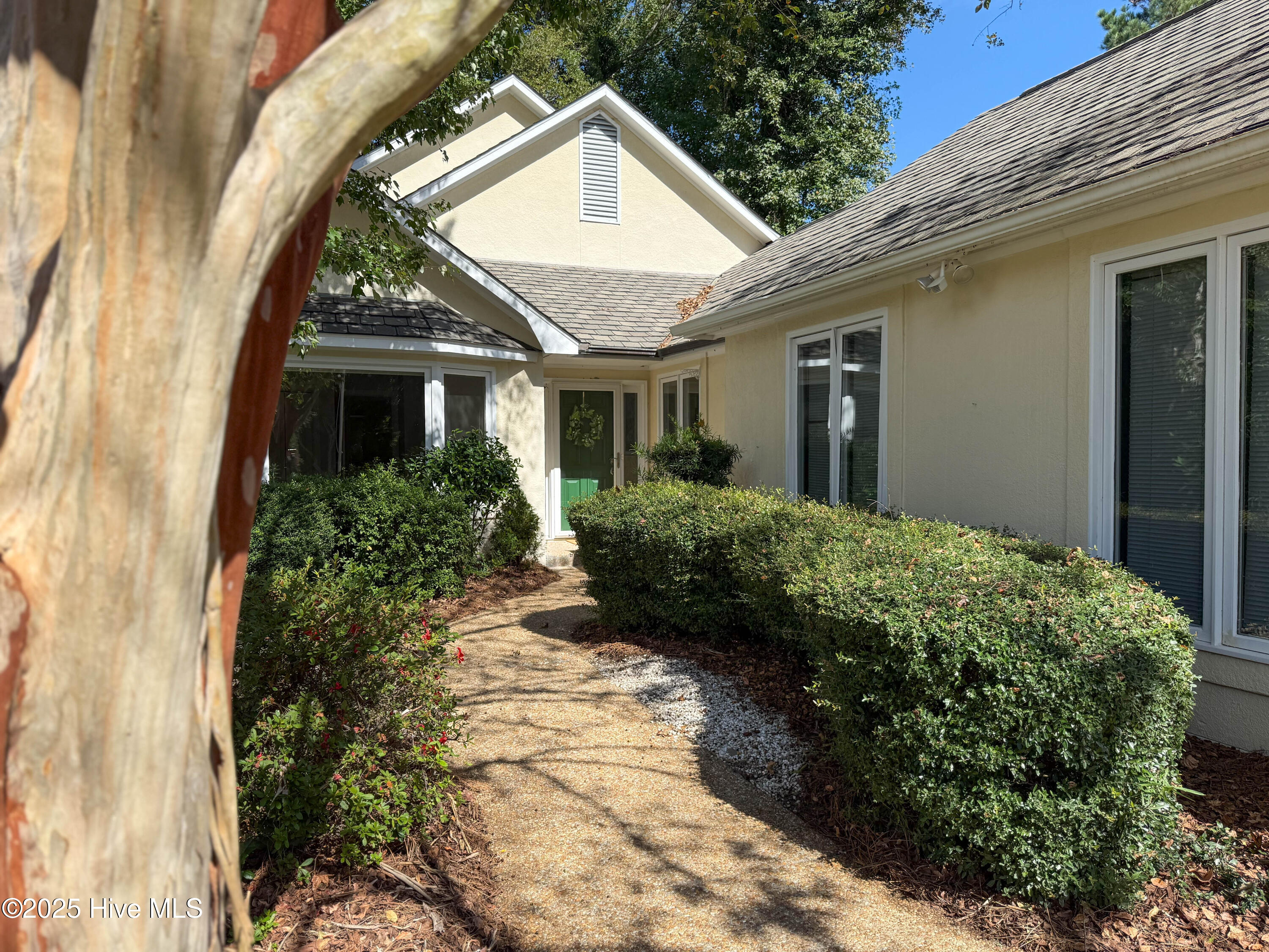 100535071 | Photo 55