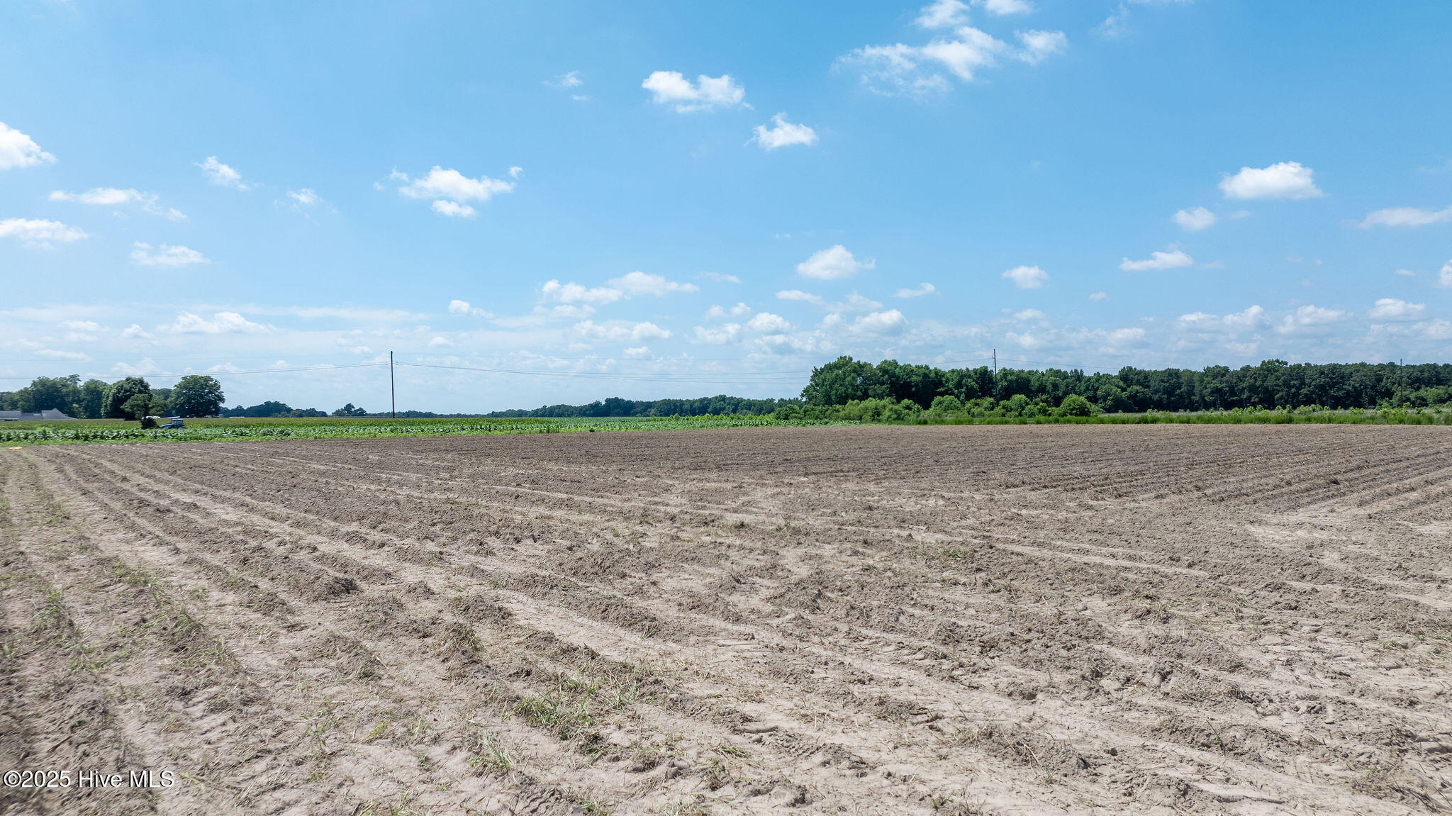 100520582 | Photo 2