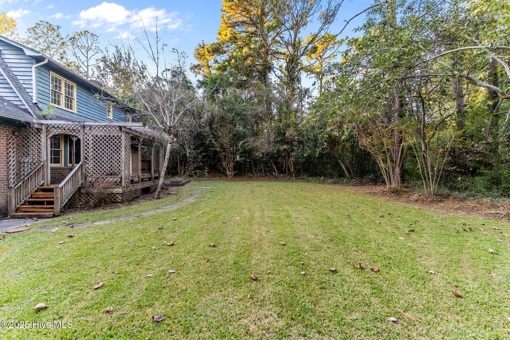 100540294 | Photo 40