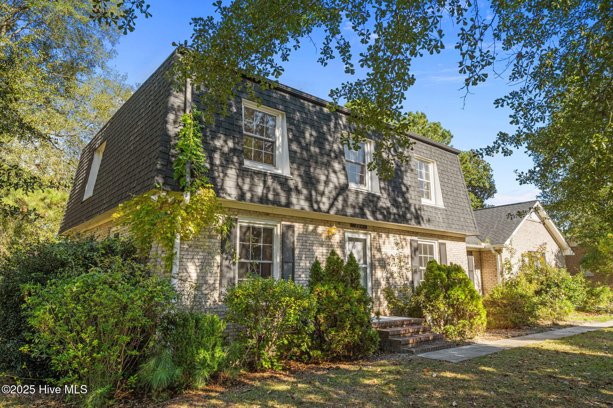 100537375 | Photo 12