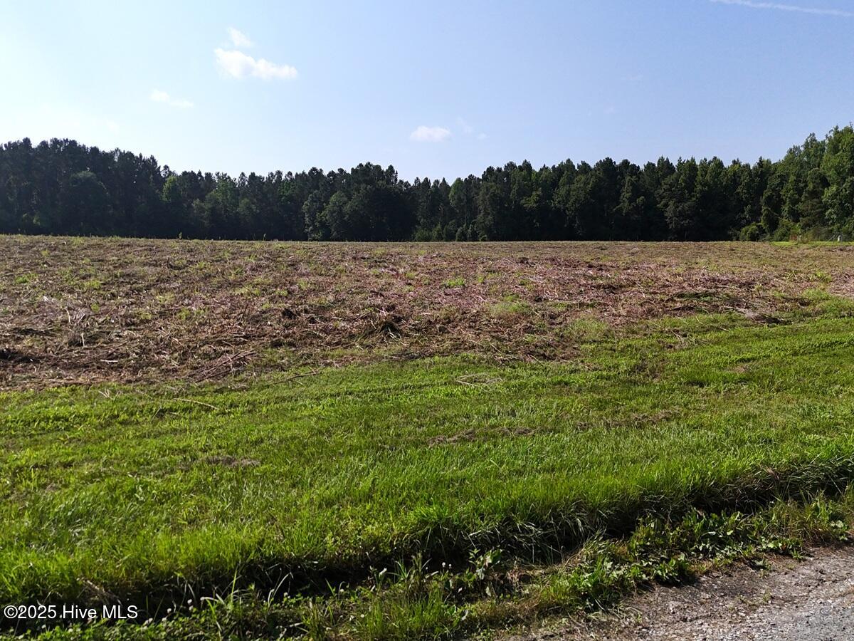 100513588 | Photo 31