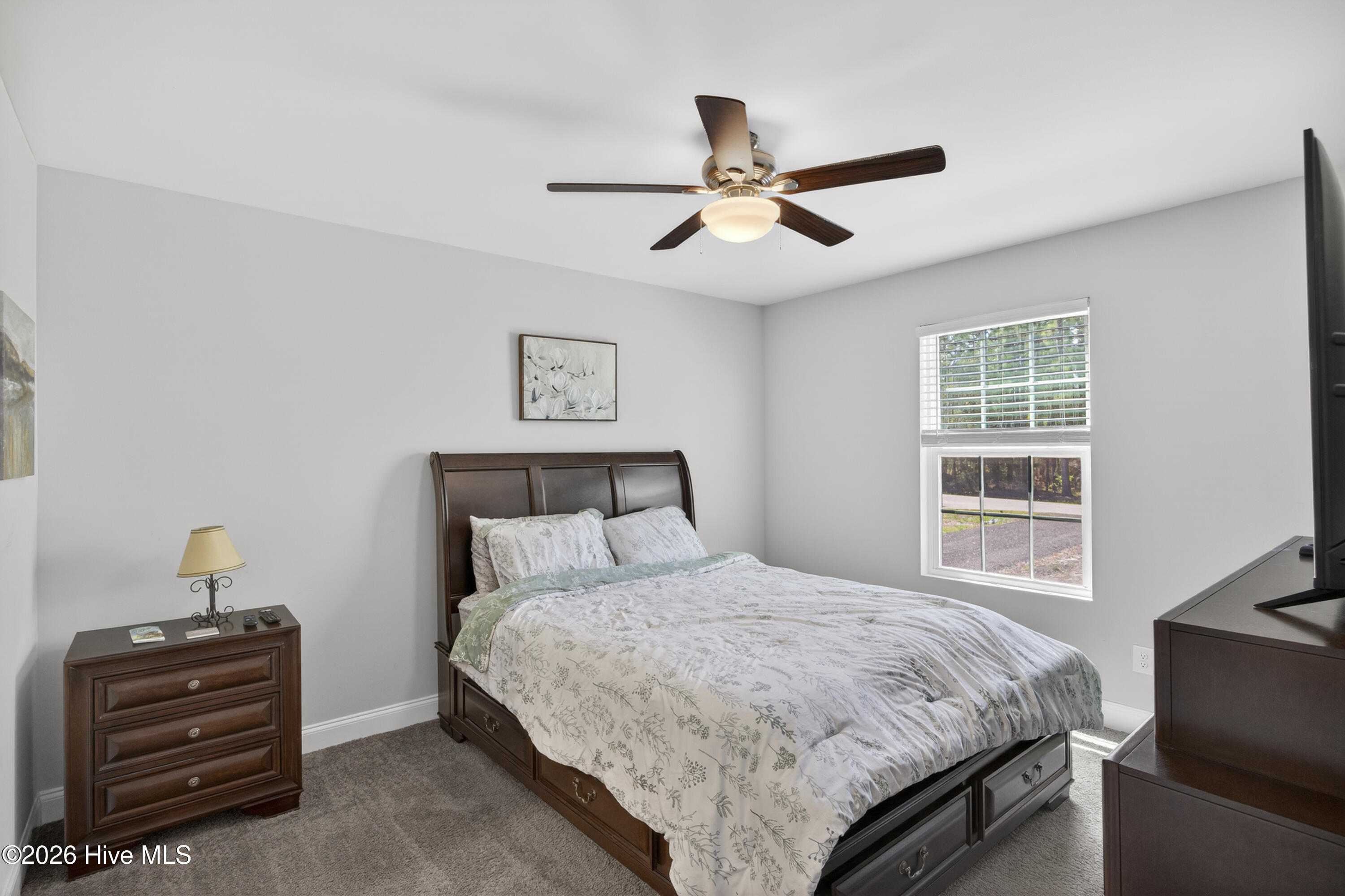 100548706 | Photo 33