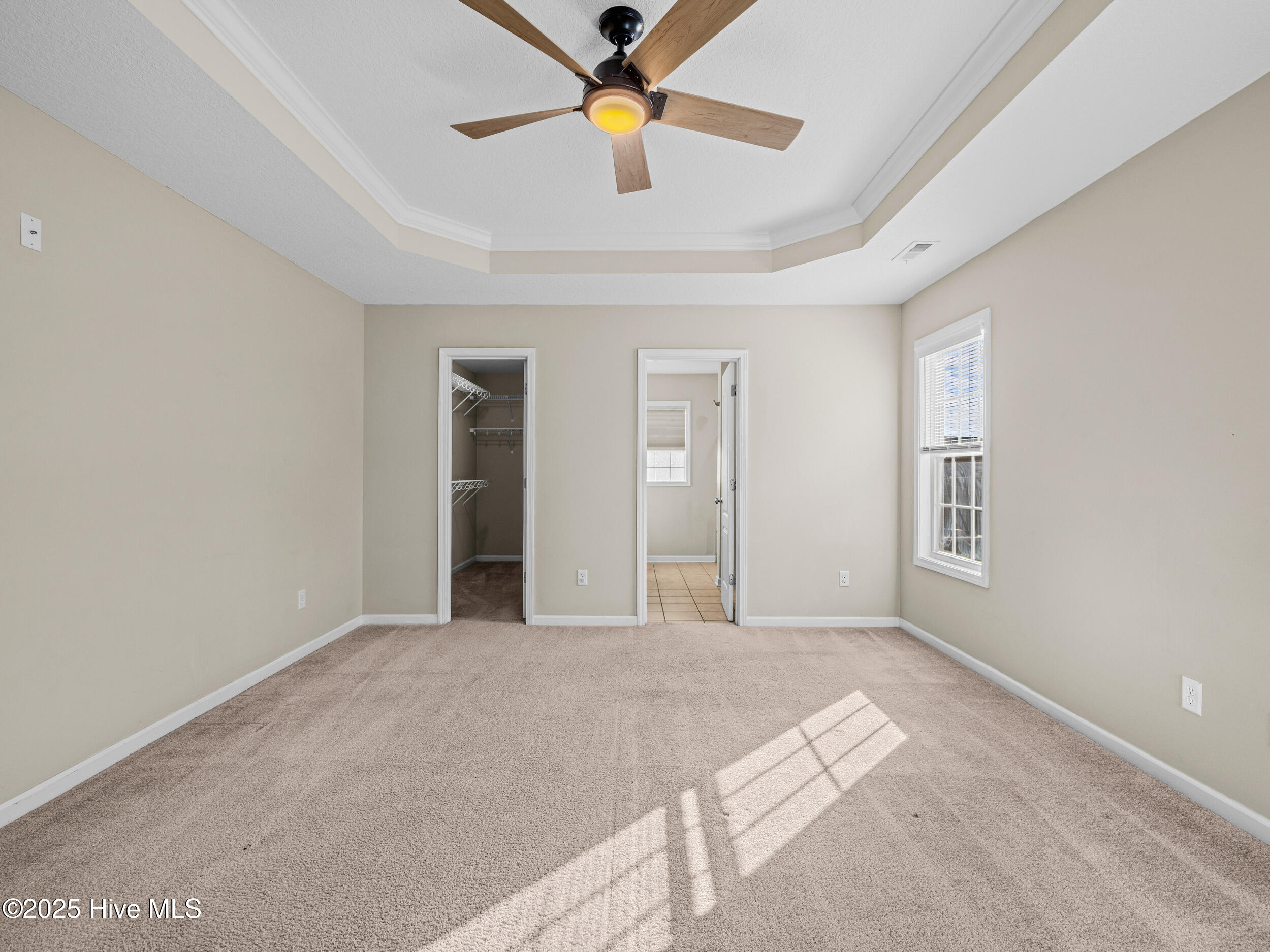 100546969 | Photo 21