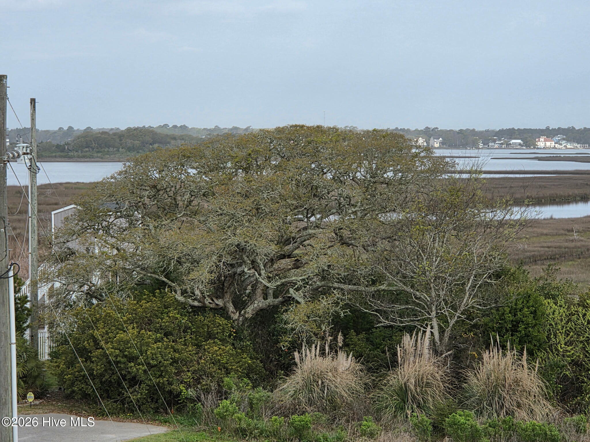 100564246 | Photo 65