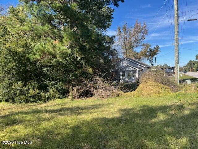 100523696 | Photo 11