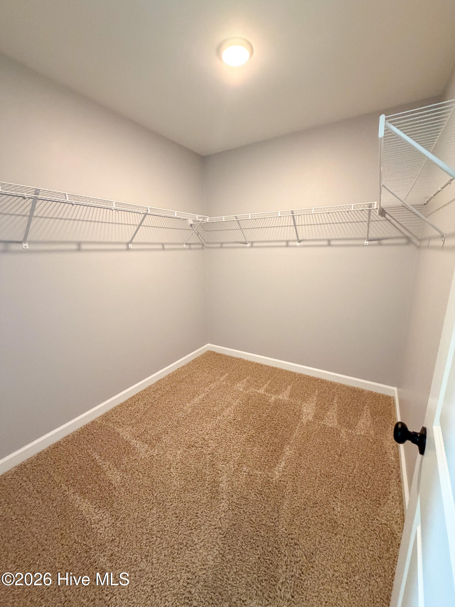 100568057 | Photo 14