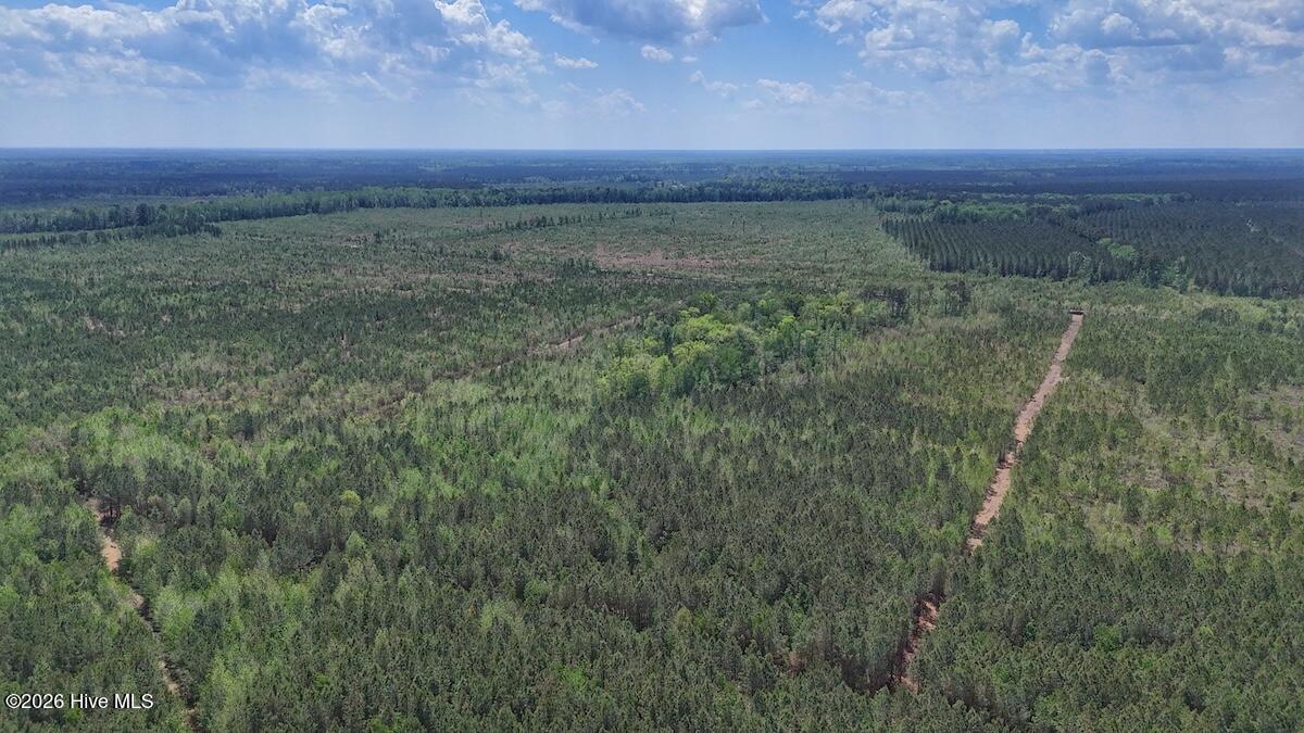 0 Guinea Mill Road, Ernul, NC, 28527