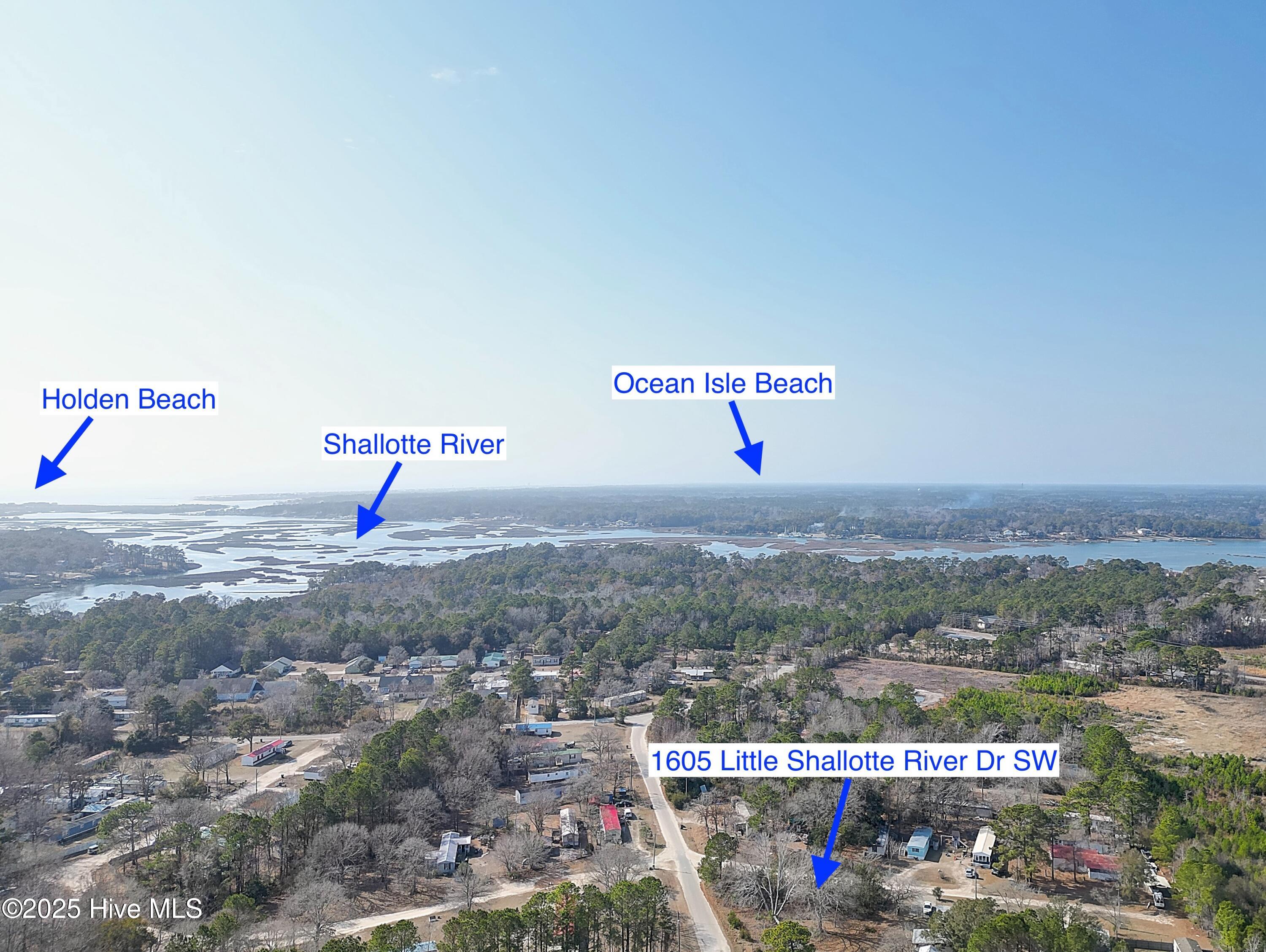 100559646 | Photo 11