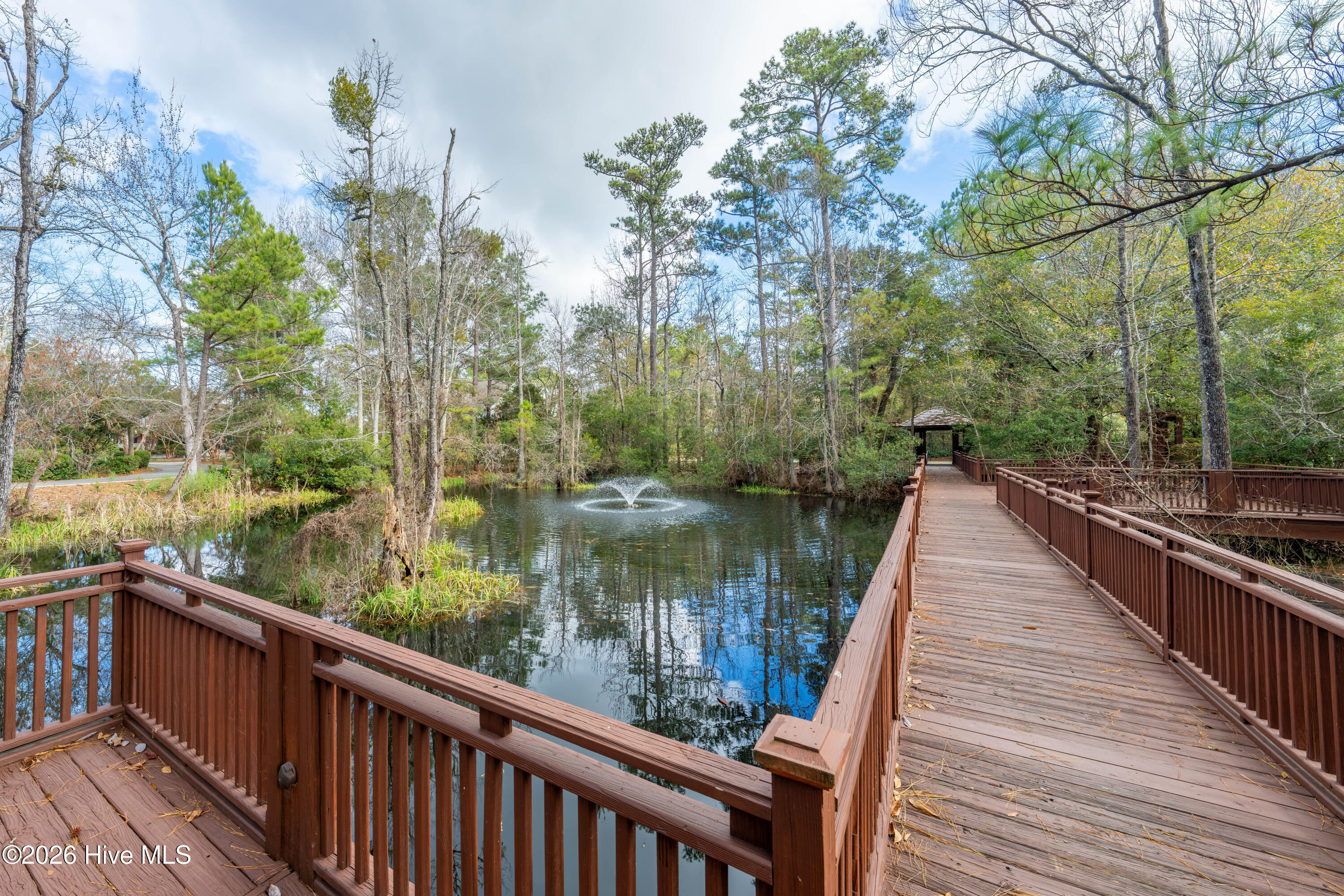 100549444 | Photo 71