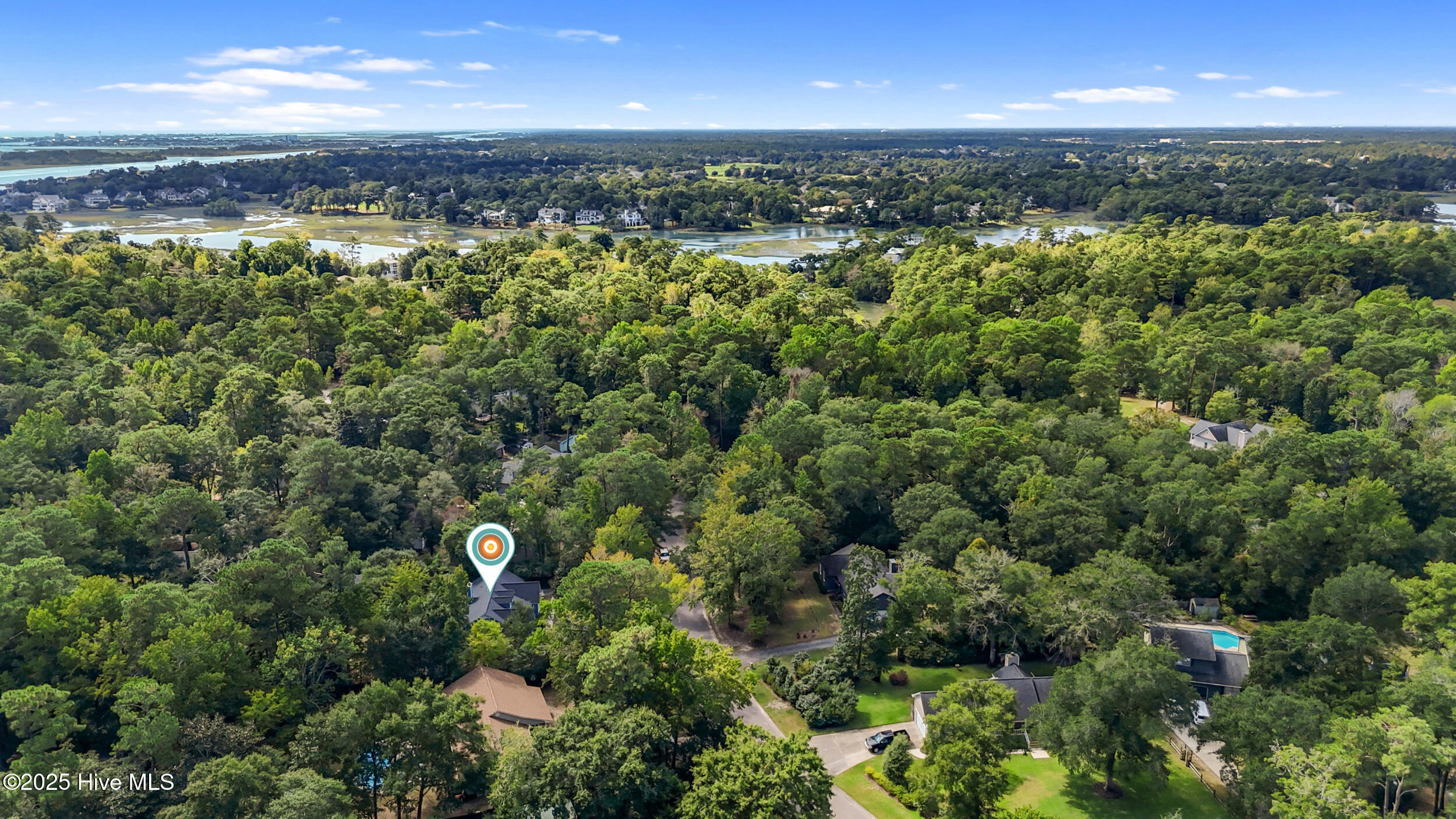 100533907 | Photo 51