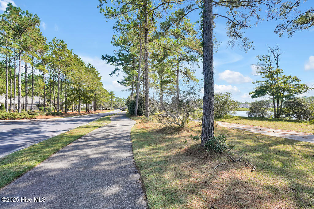 100535984 | Photo 117