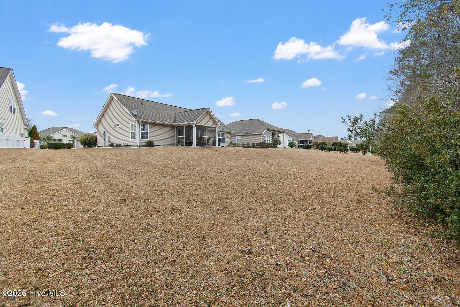 100555398 | Photo 29