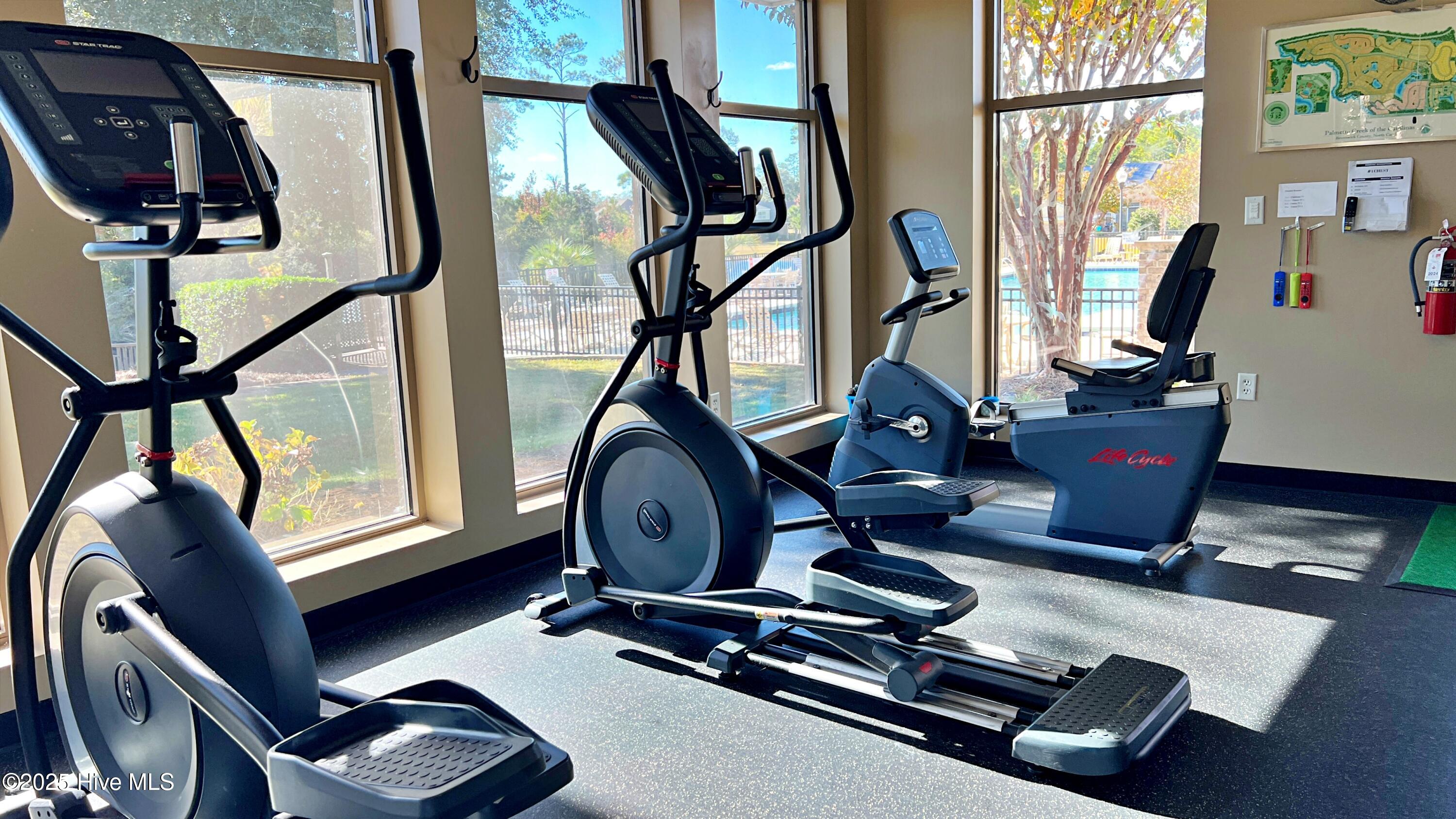 100539112 | Photo 39