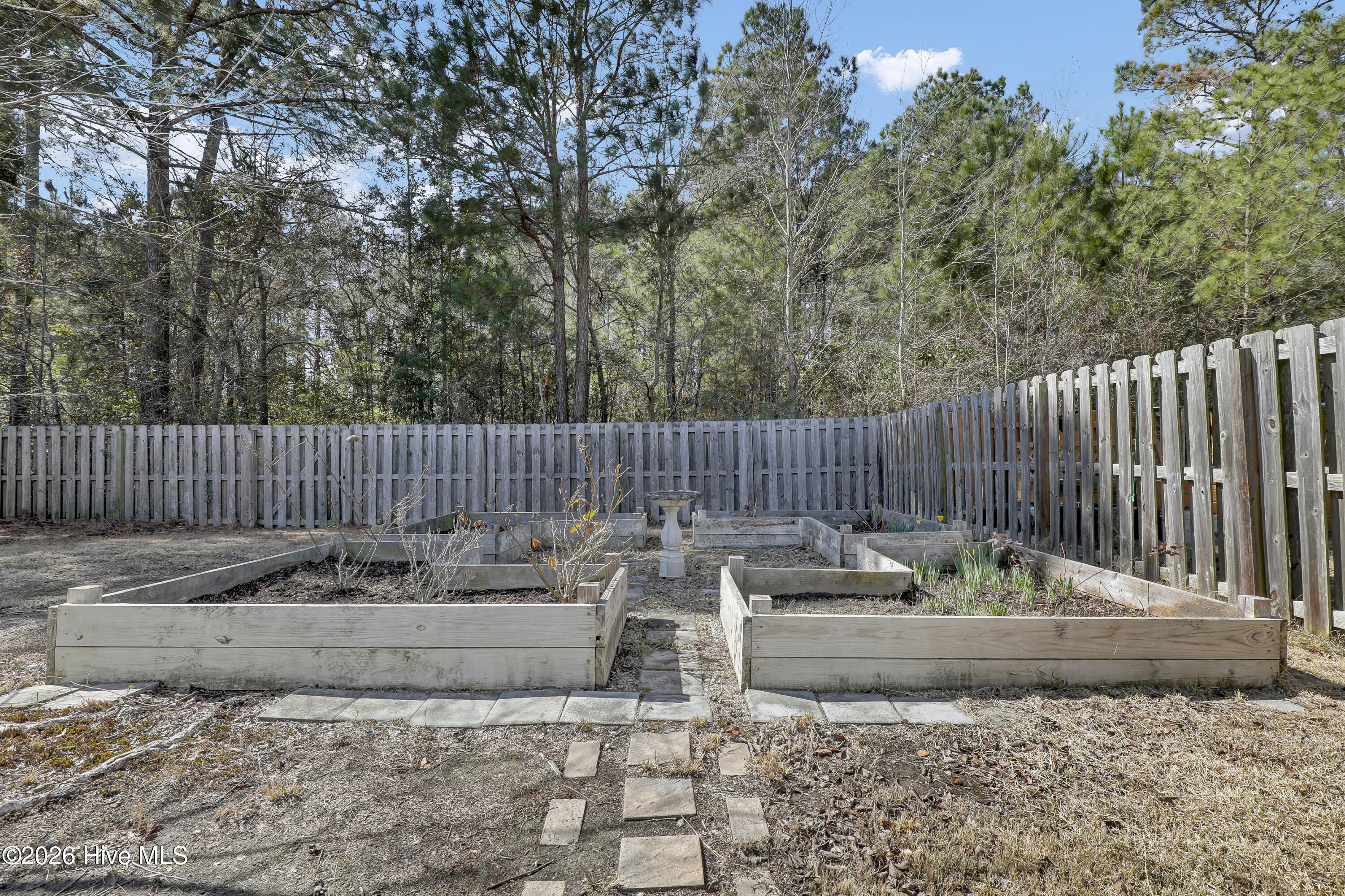 100556478 | Photo 46