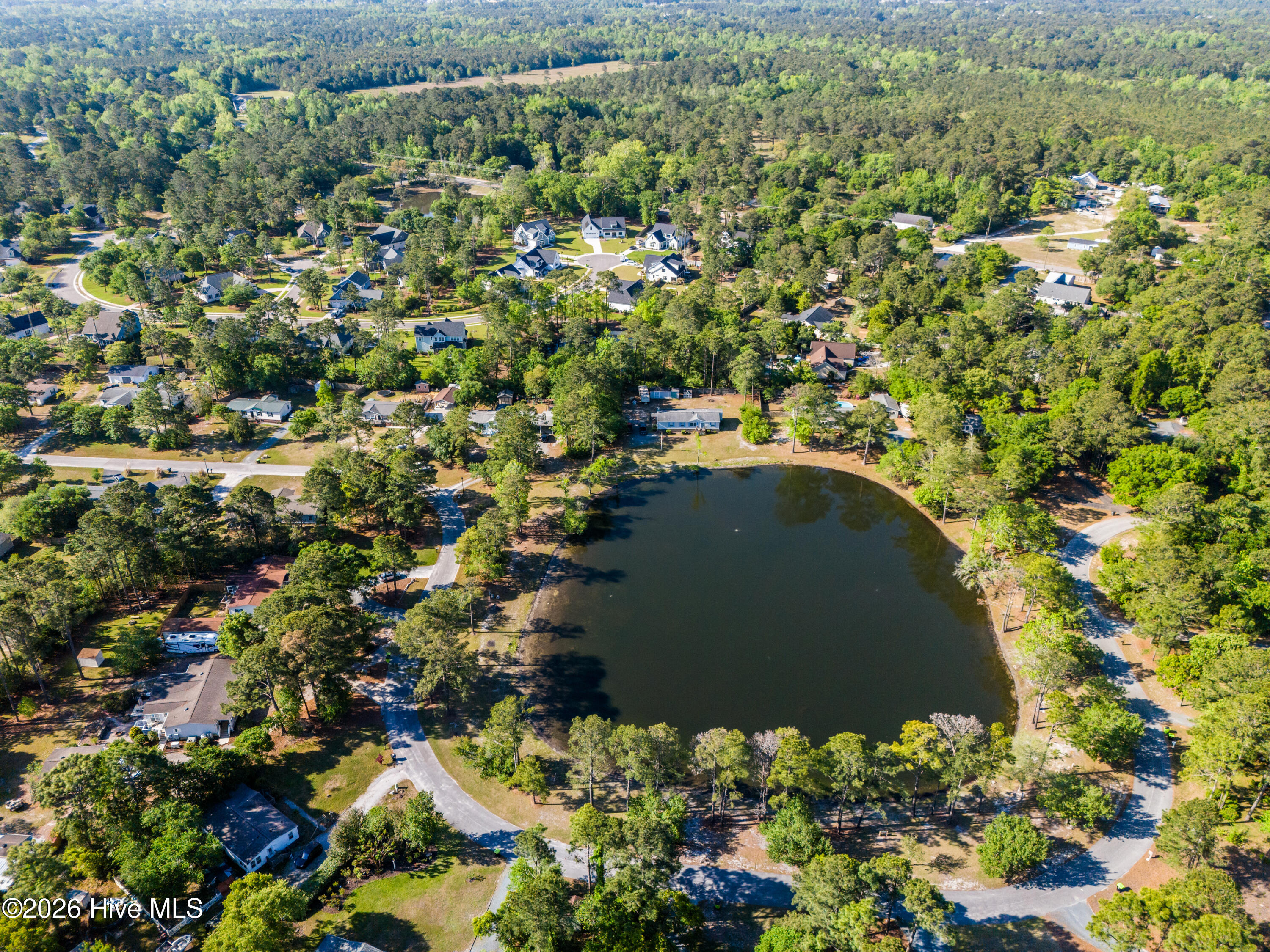 100568101 | Photo 35