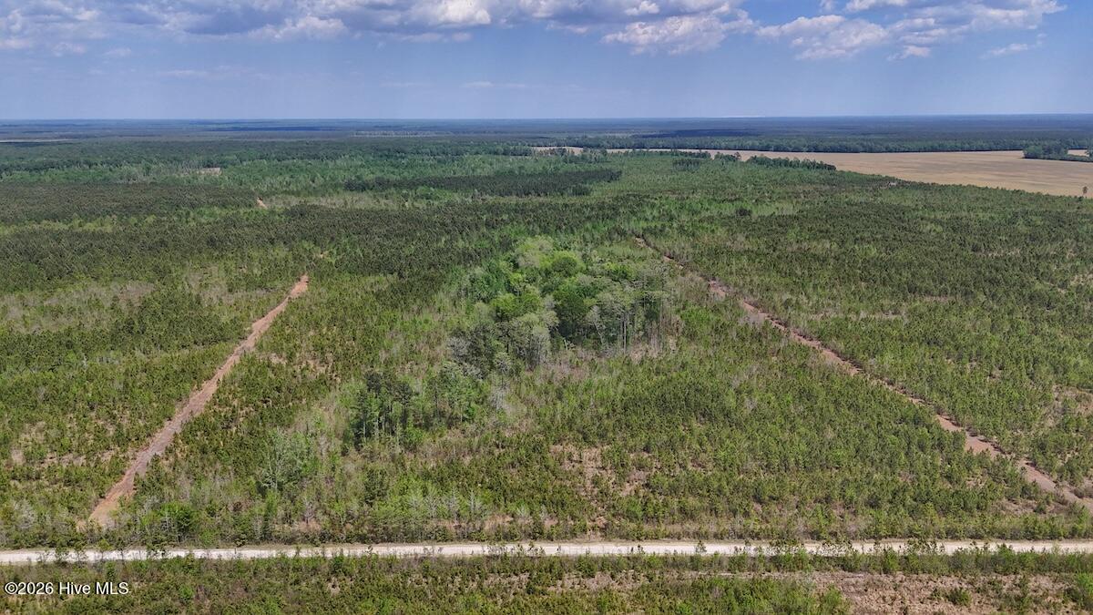 0 Guinea Mill Road, Ernul, NC, 28527