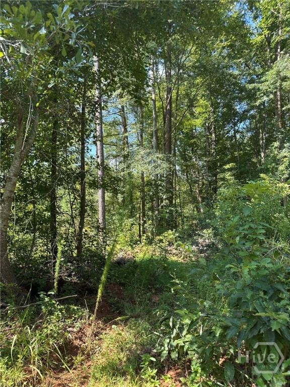 00 Fears, Madison, GA, 30650