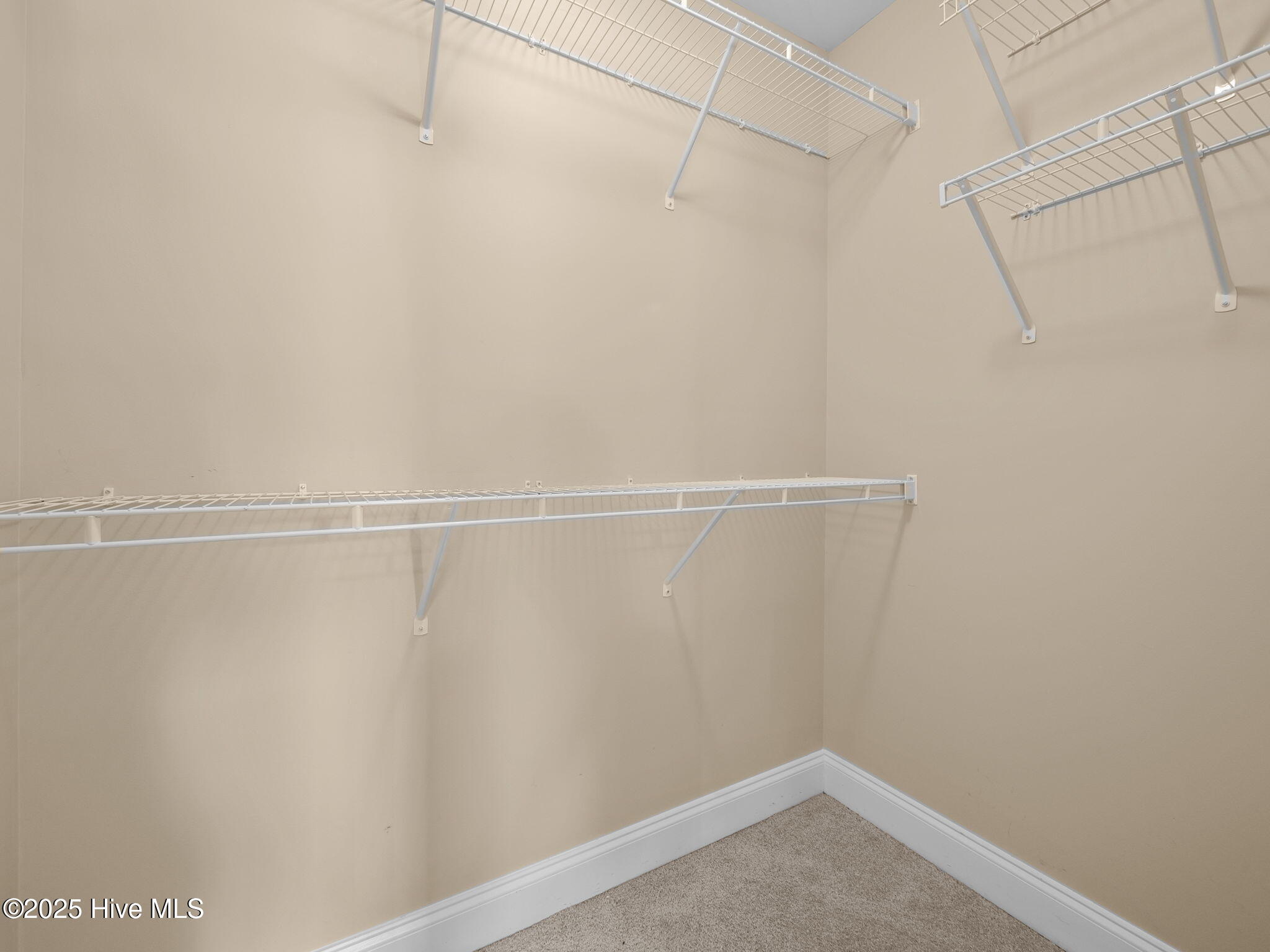 100556679 | Photo 27