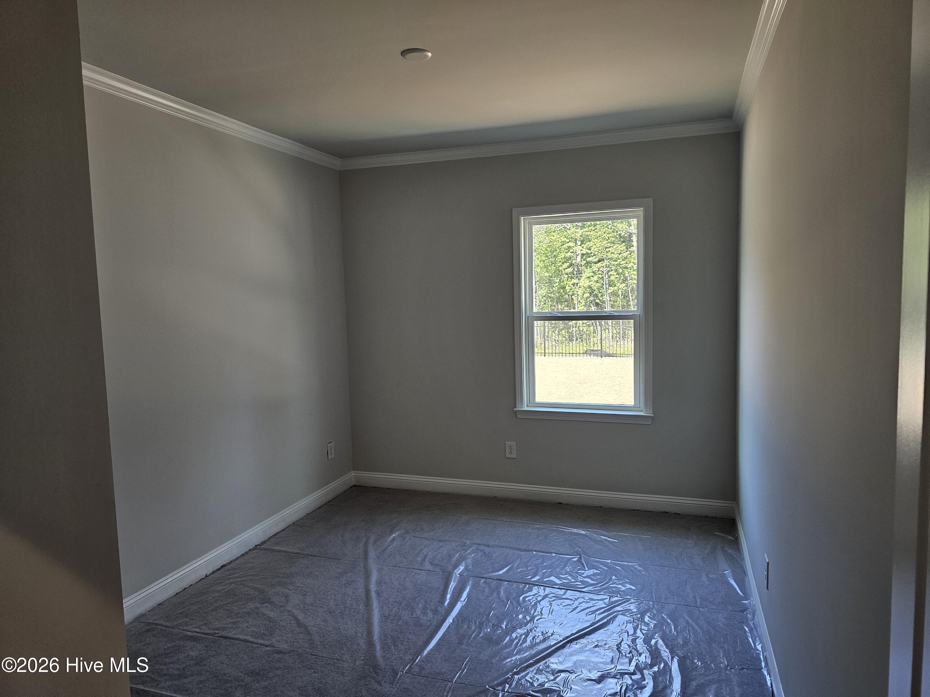 100555806 | Photo 16