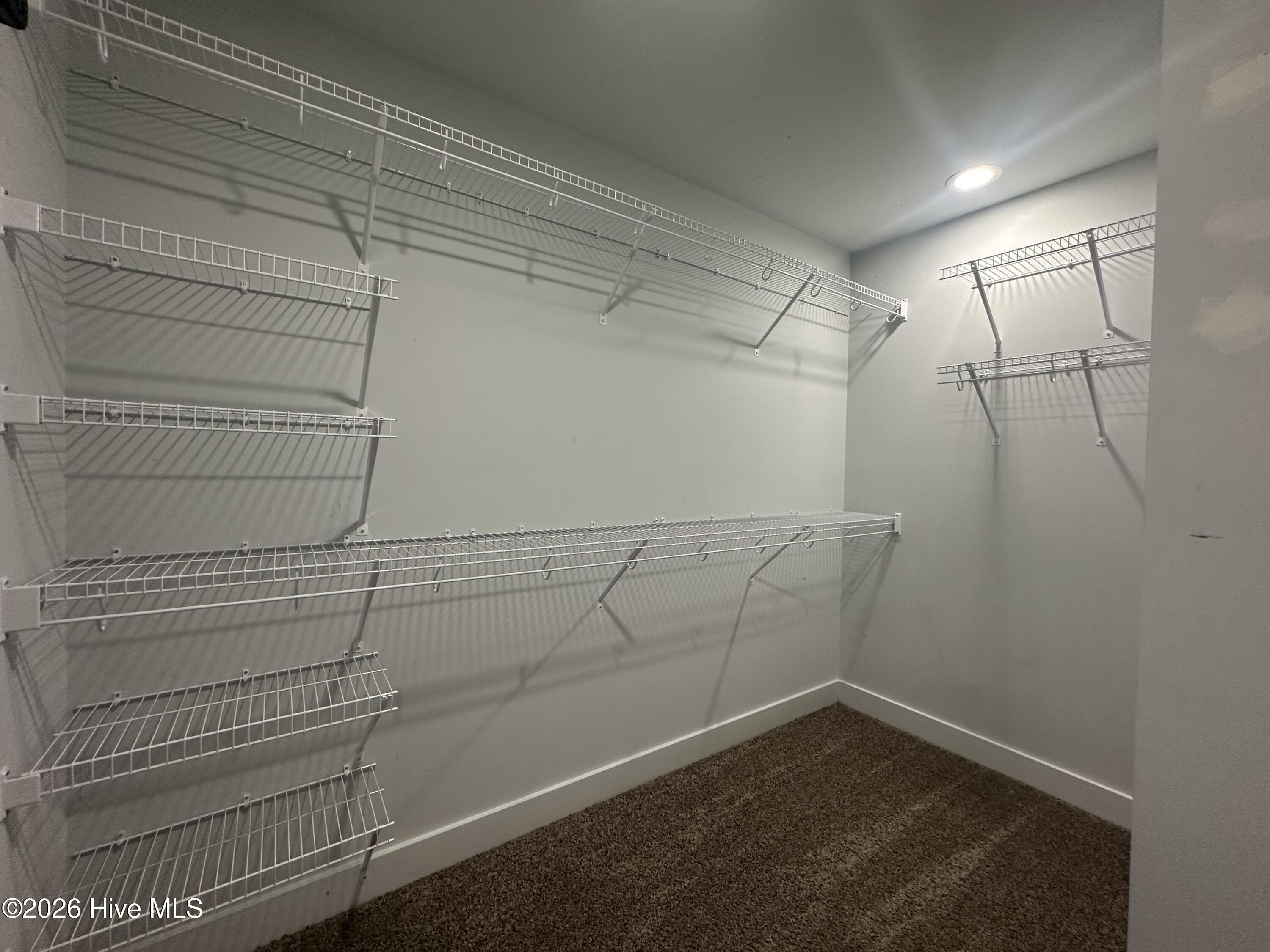 100559148 | Photo 25