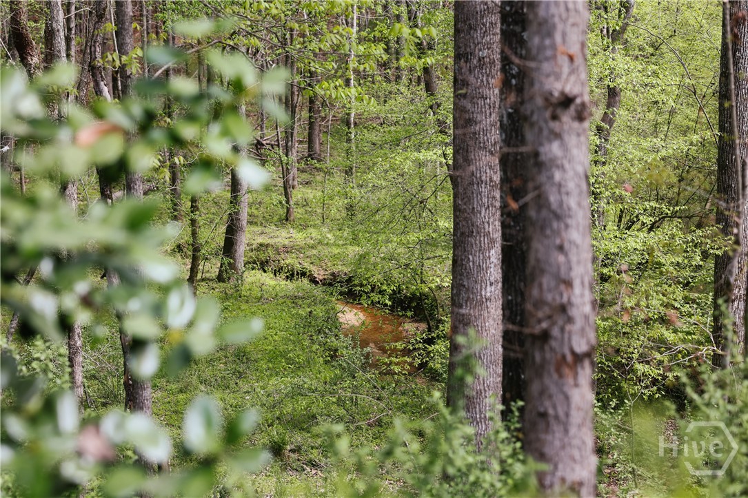 1051 Moss Creek Terrace