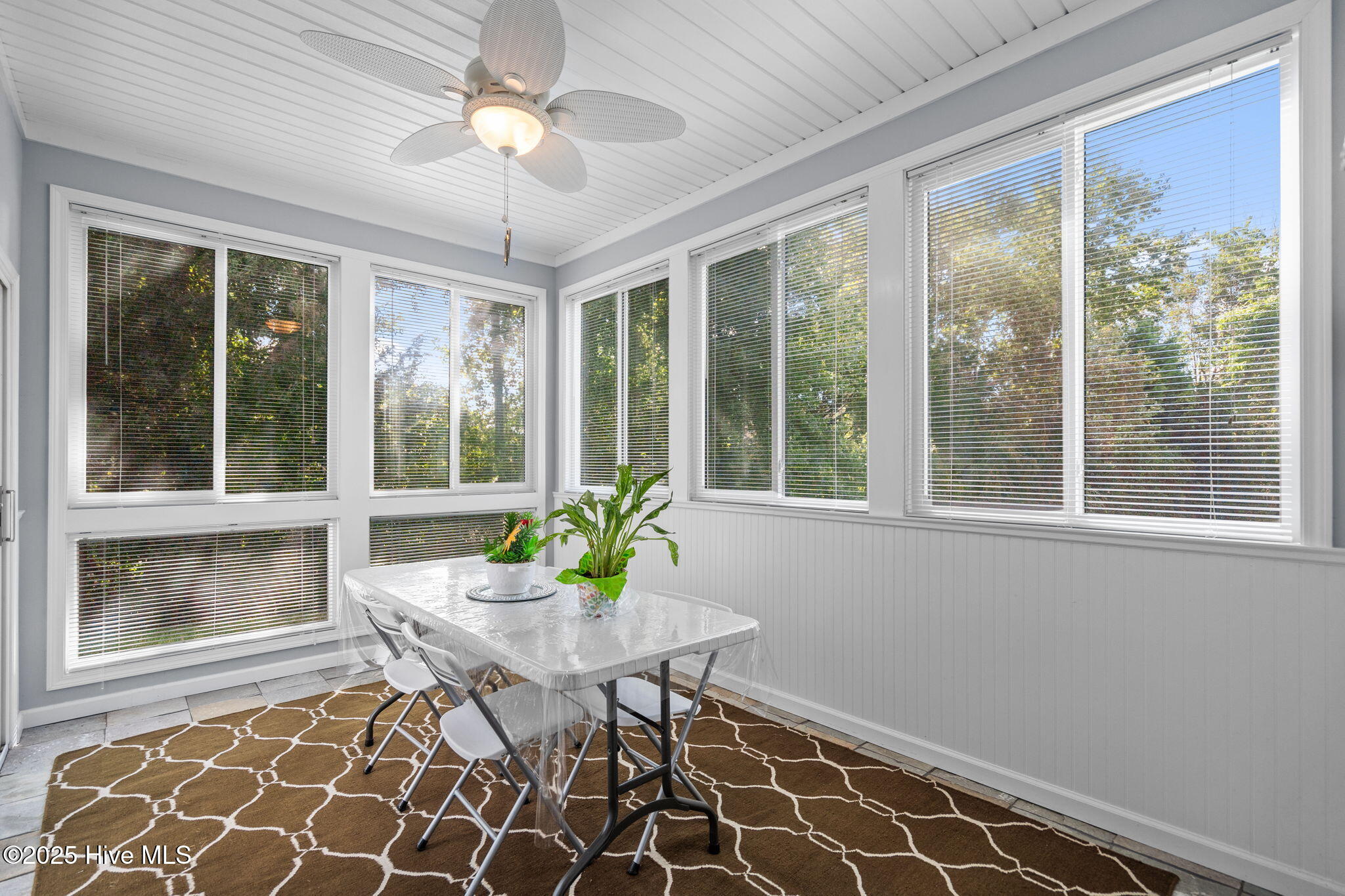 100515173 | Photo 32