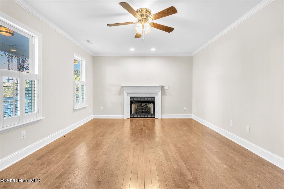 100556413 | Photo 18