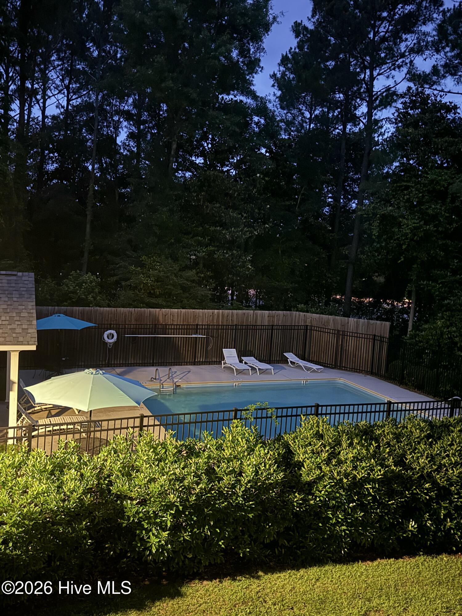 100557540 | Photo 40