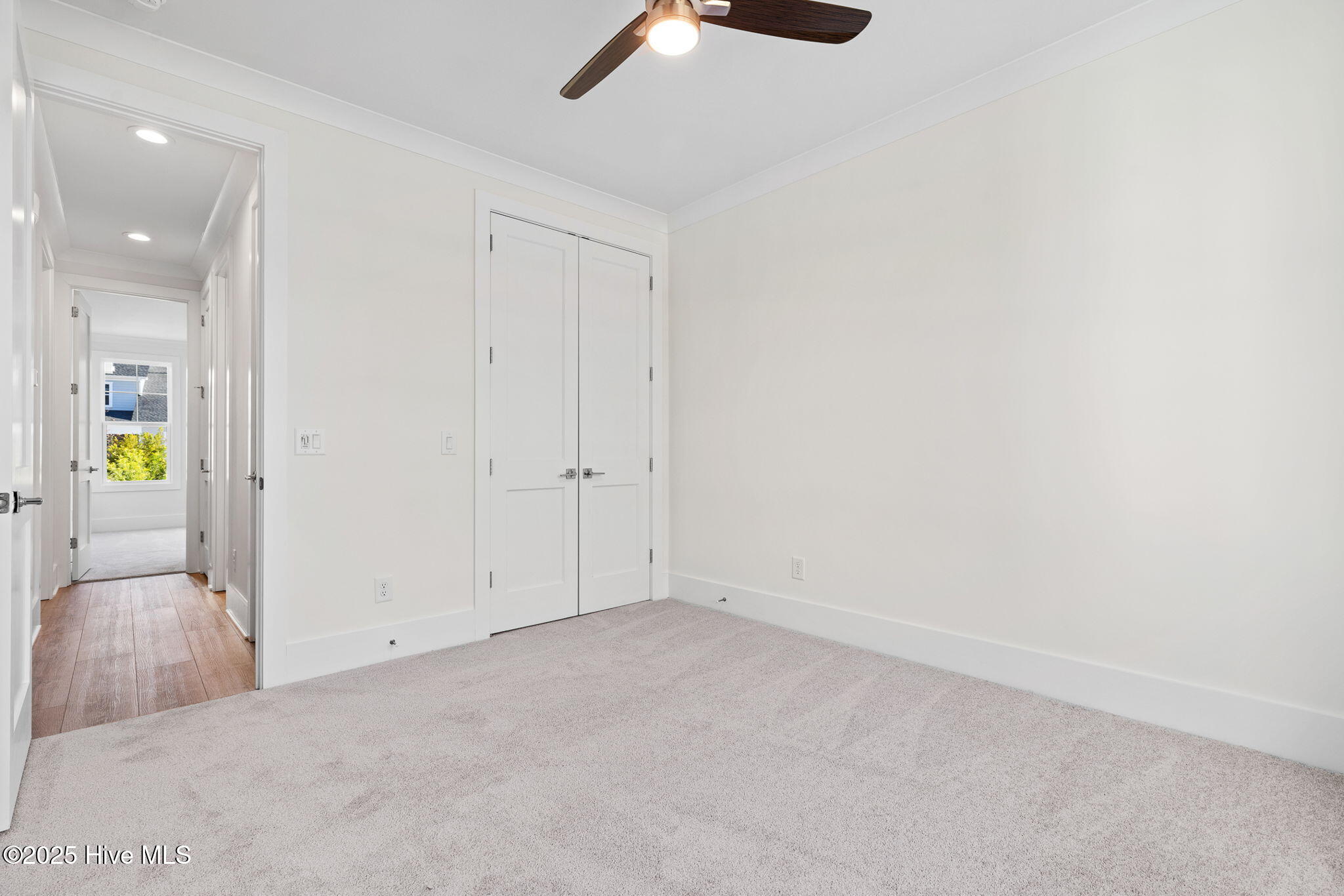 100523885 | Photo 43