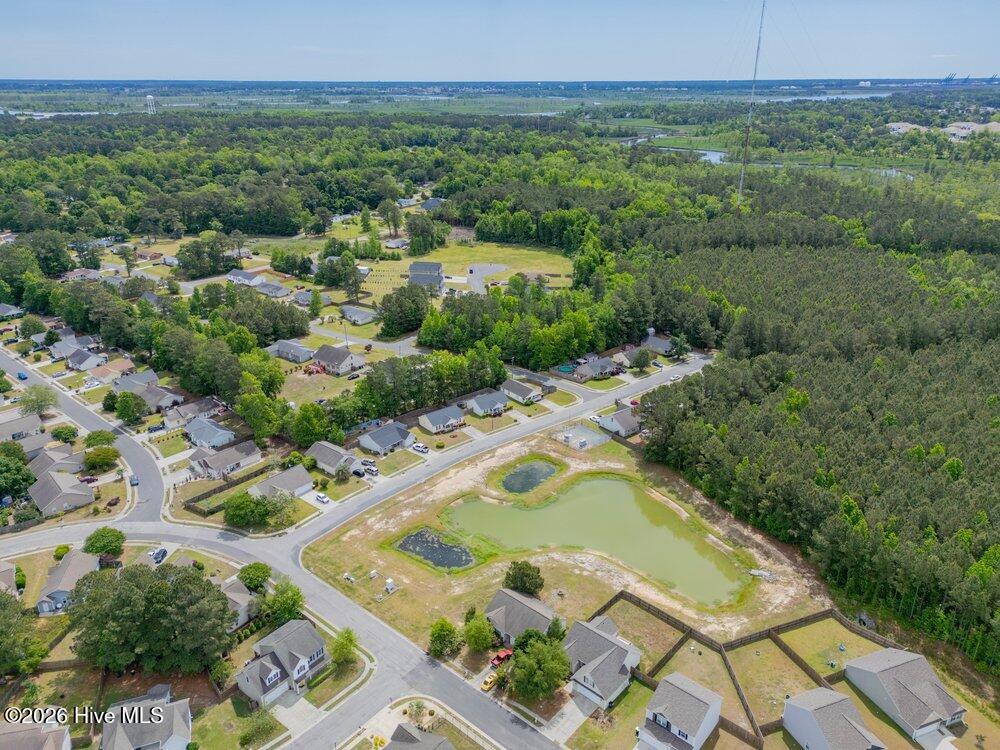 100570589 | Photo 39