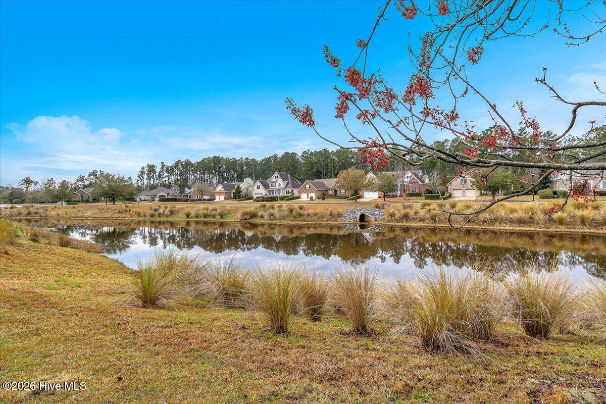 100559889 | Photo 51