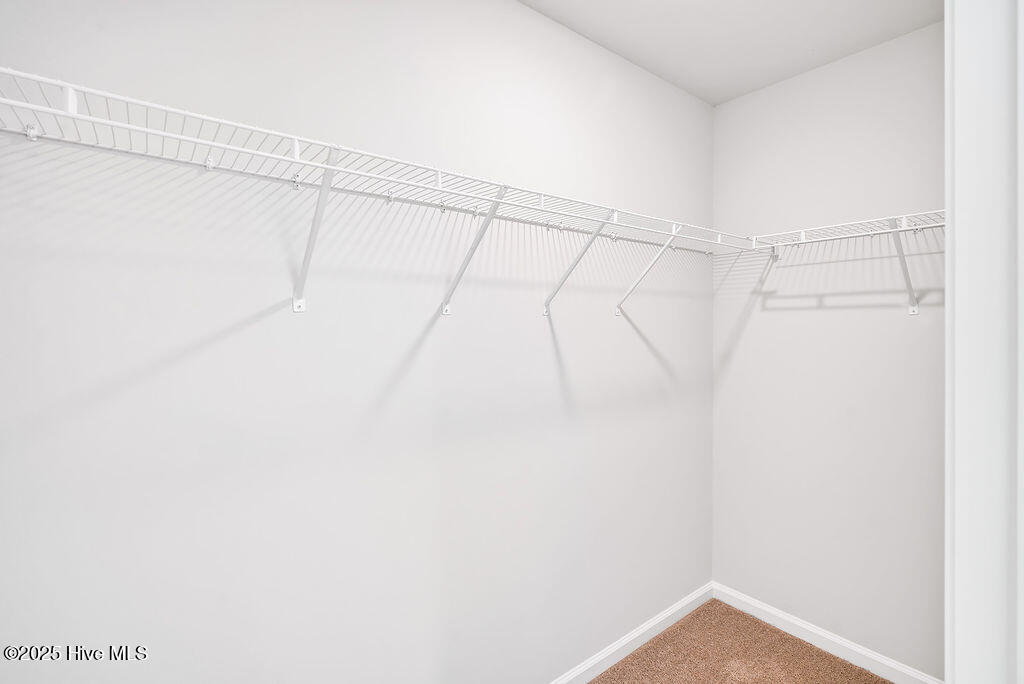 100545951 | Photo 24