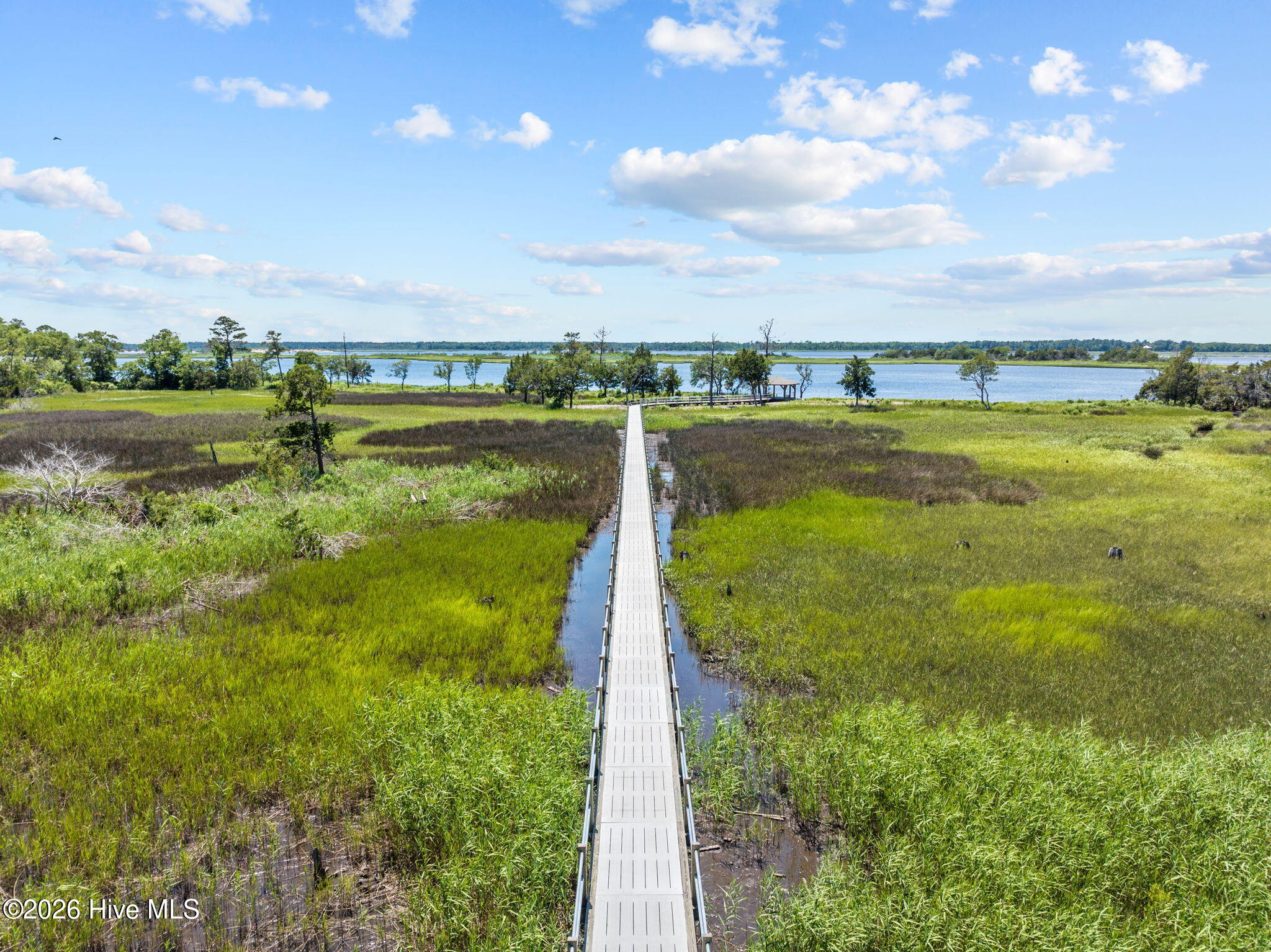 100555549 | Photo 45