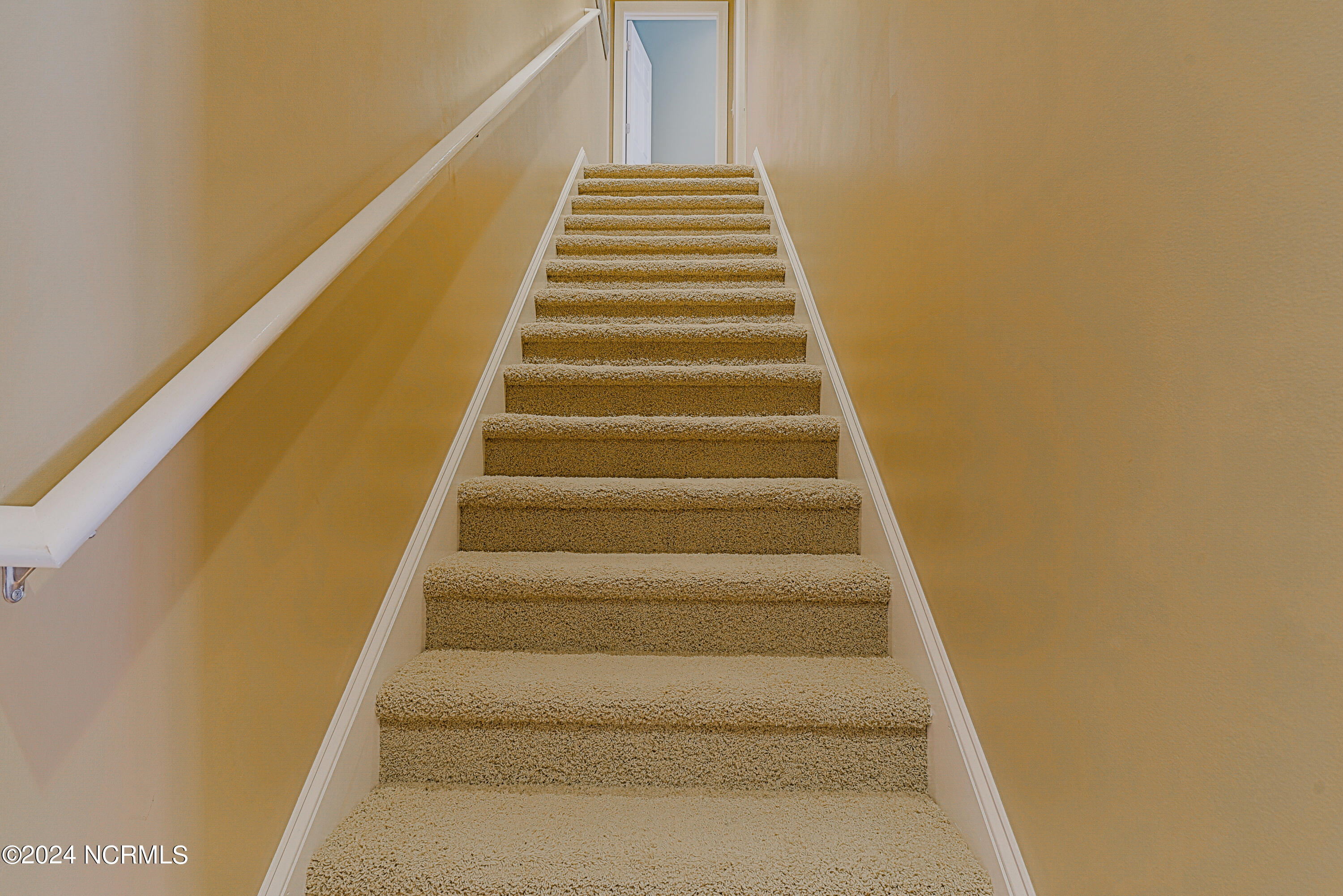 100513889 | Photo 24