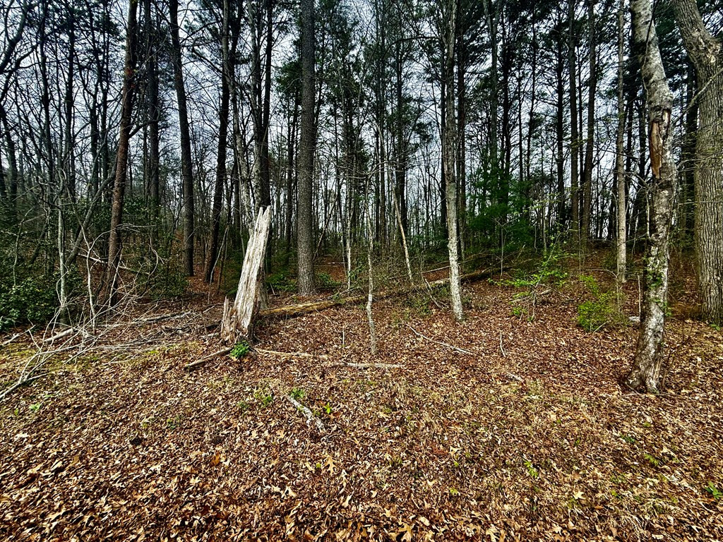 2nd image of 0 Nicholson Cir, Turtletown, TN 37391 | MLS# 98544378