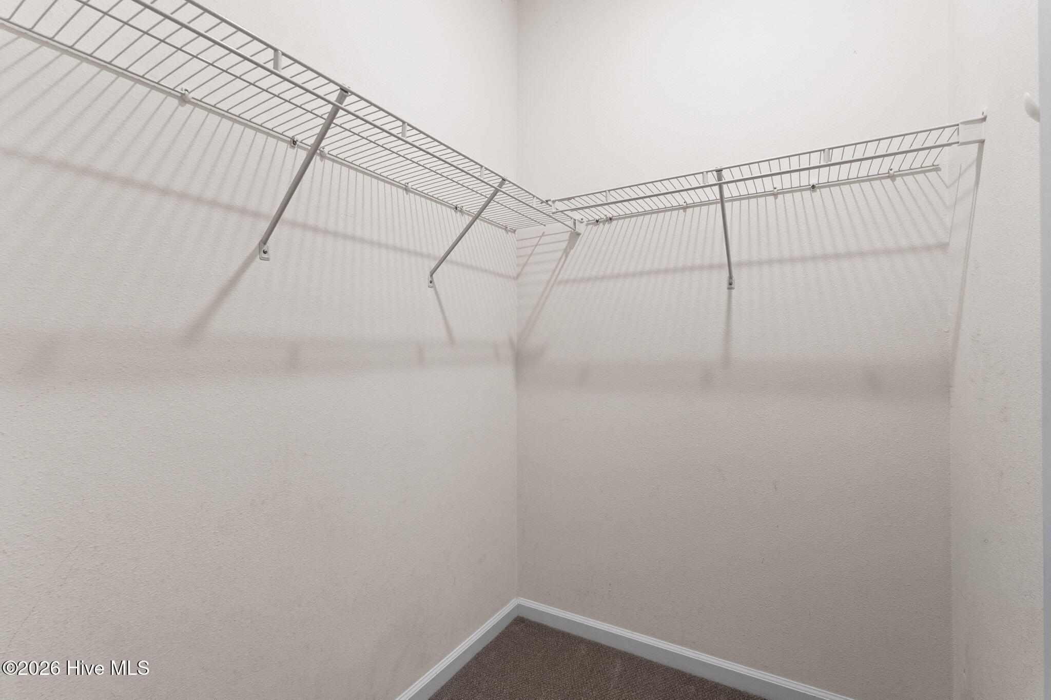 100591408 | Photo 20