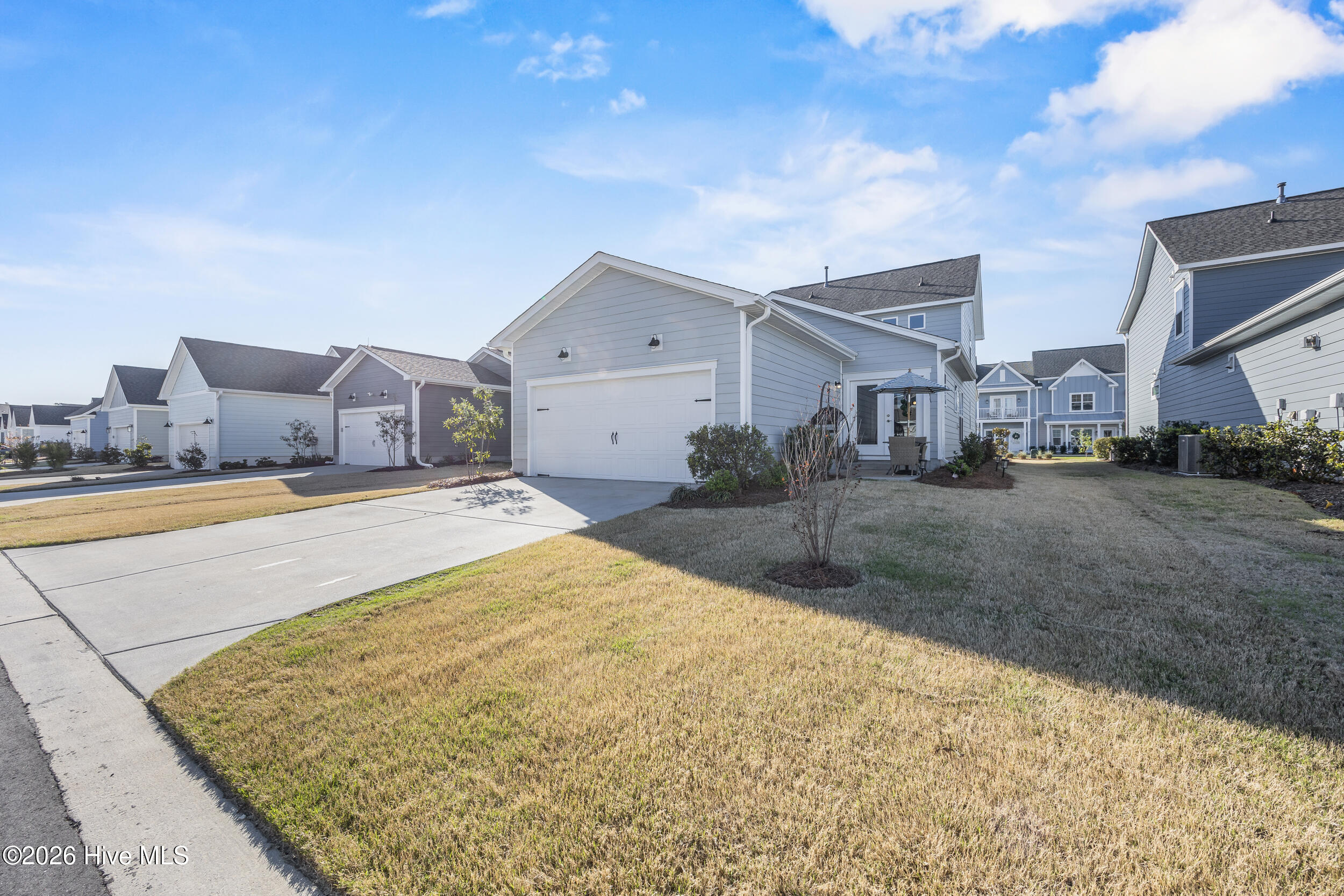 100561279 | Photo 24